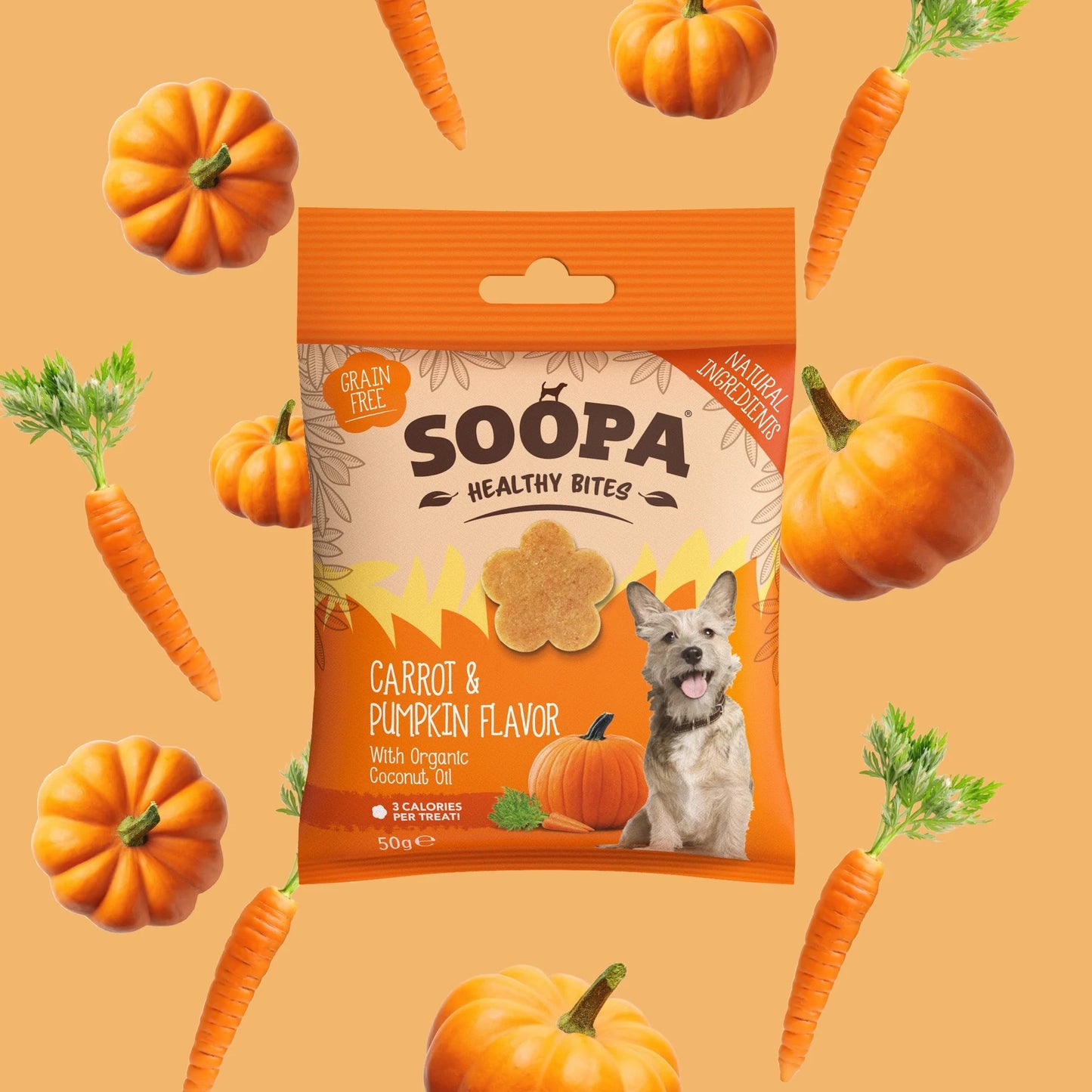 Soopa - Hundgodis | Pumpkin Spiced Latte, Pumpa och kanel (50g, 50 bitar)