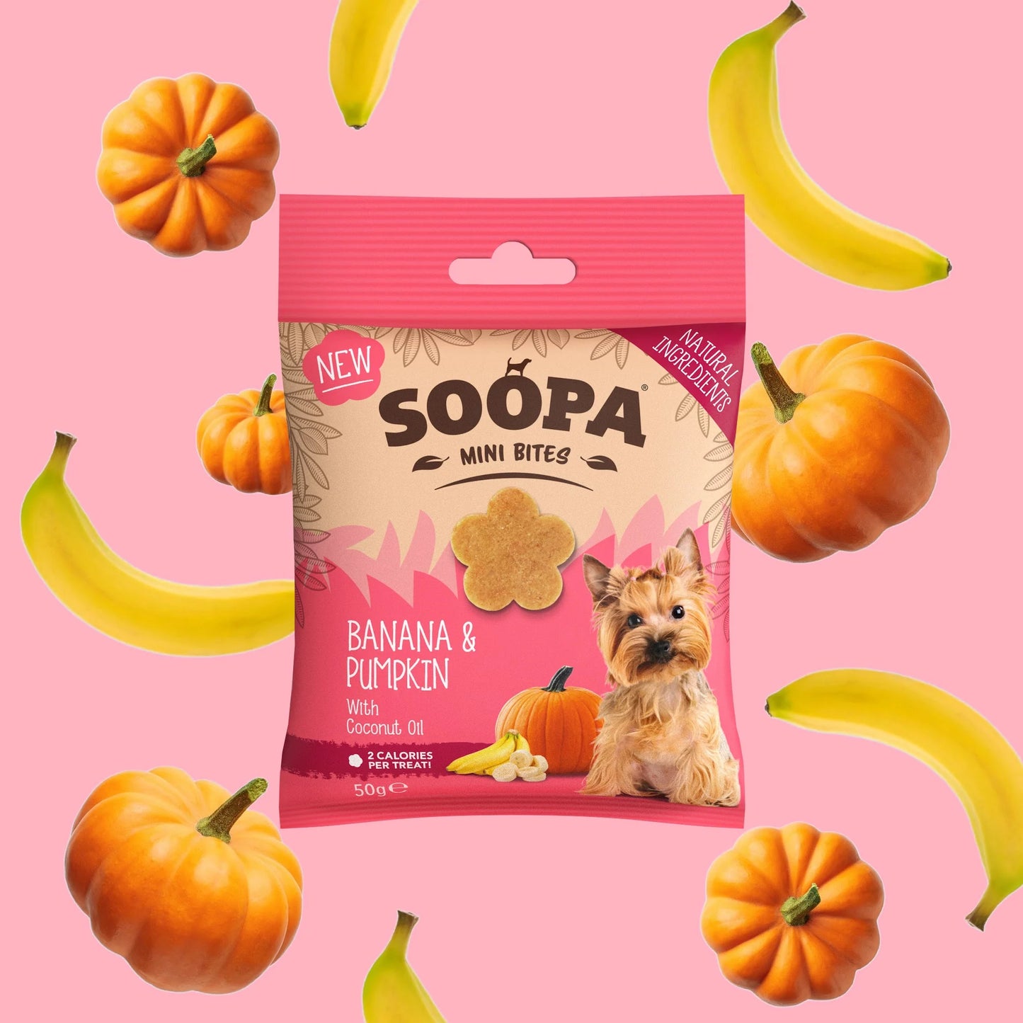 Soopa - Hundgodis MINI | Banan och pumpa (50g, 100 bitar)
