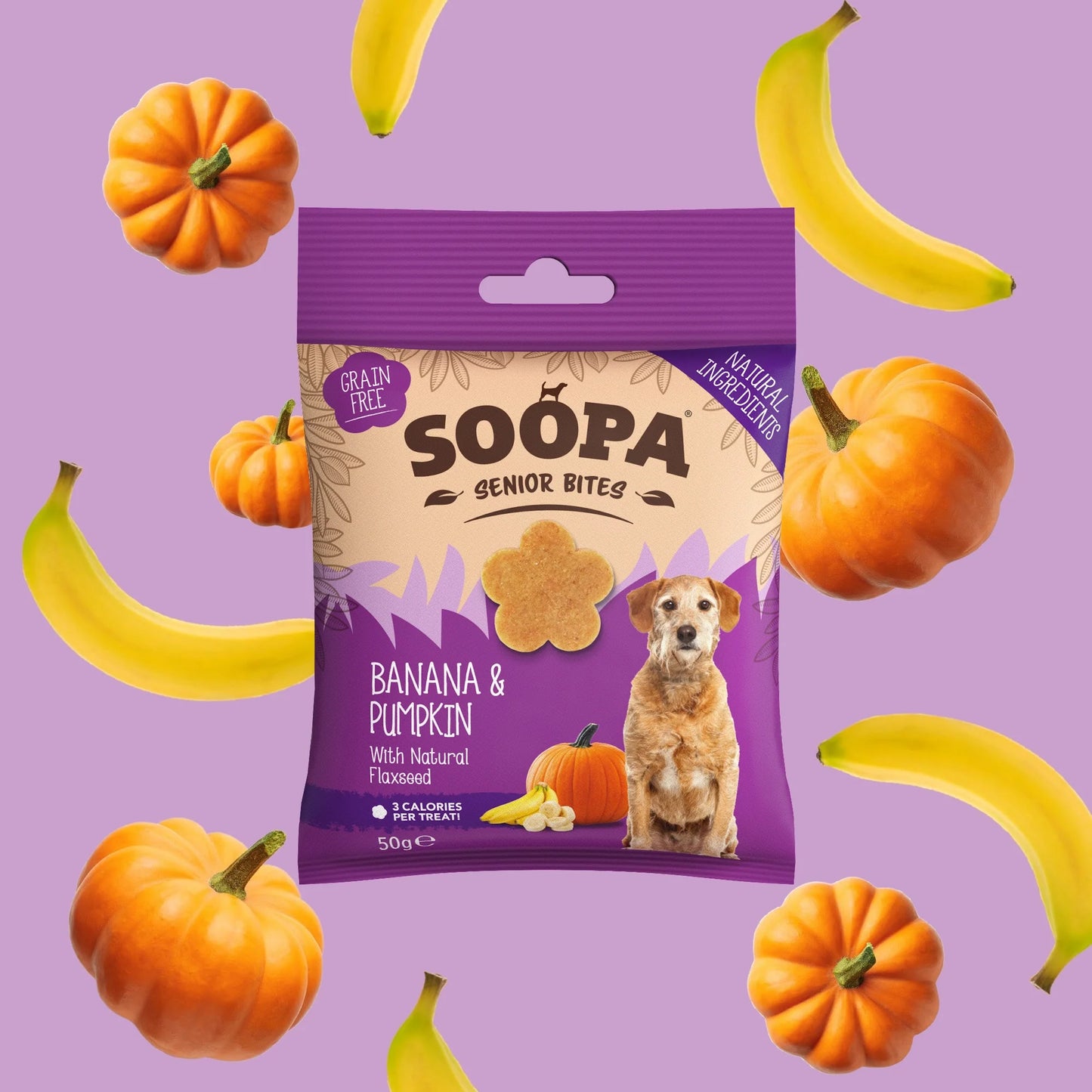 Soopa - Hundgodis SENIOR | Banan och pumpa (50g, 50 bitar)