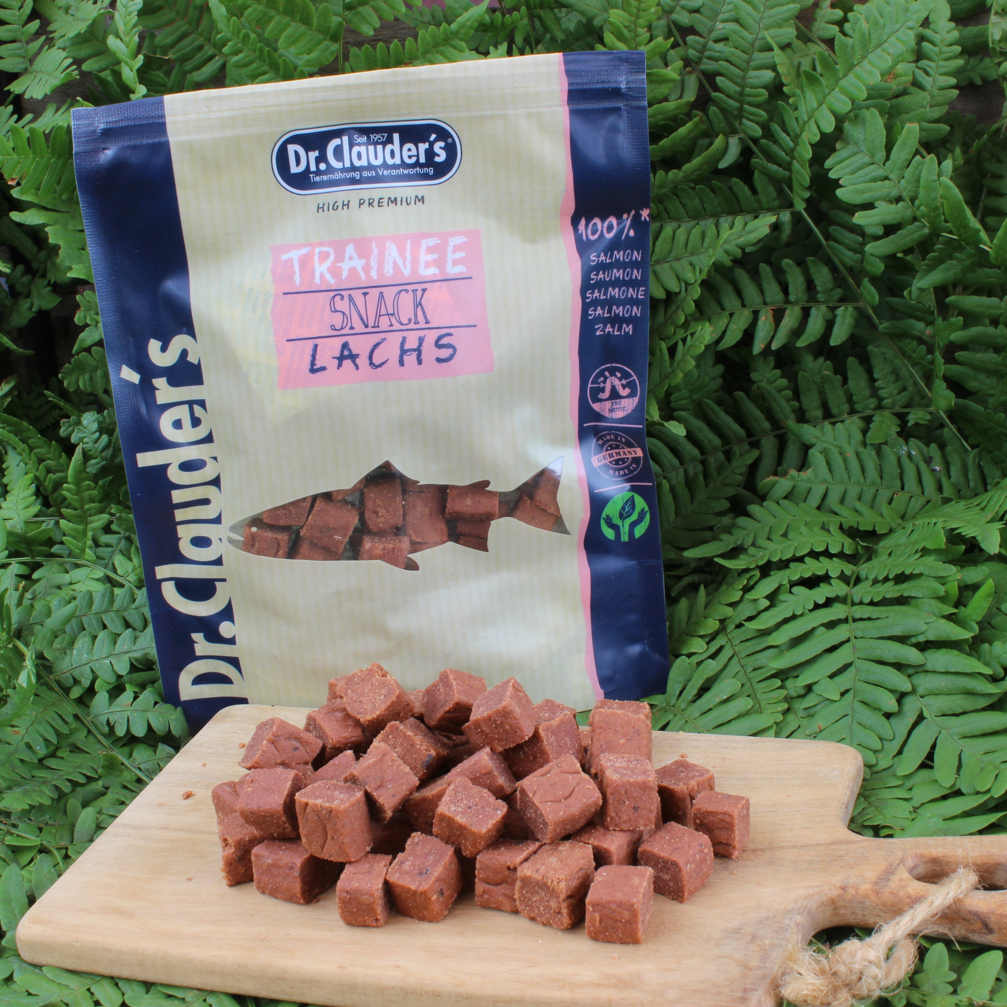 Dr. Clauder´s - Småbitar av laxkött (80 eller 500g)
