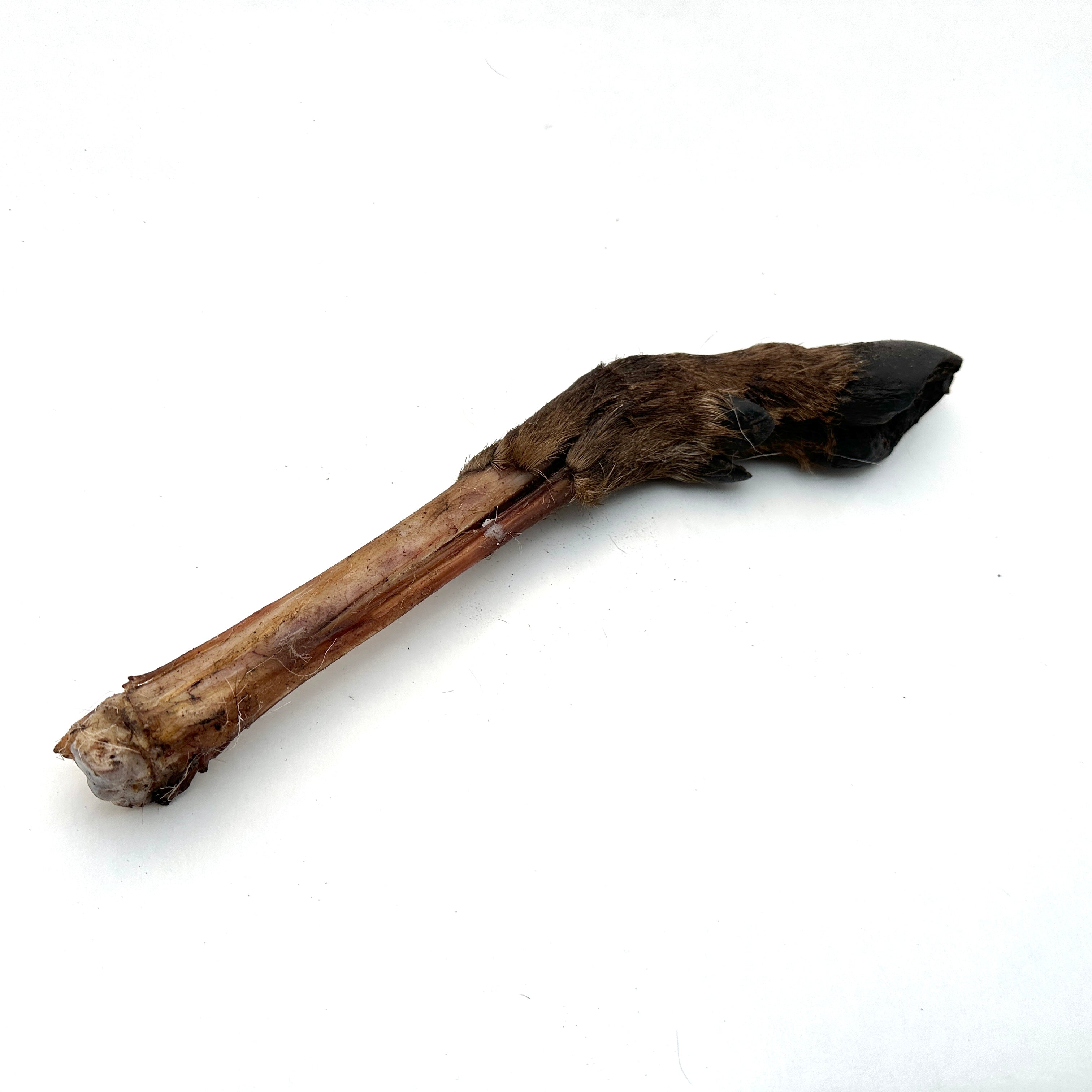 Emmzo - Svenskt hjortben med päls och klöve (cirka 35-45cm)