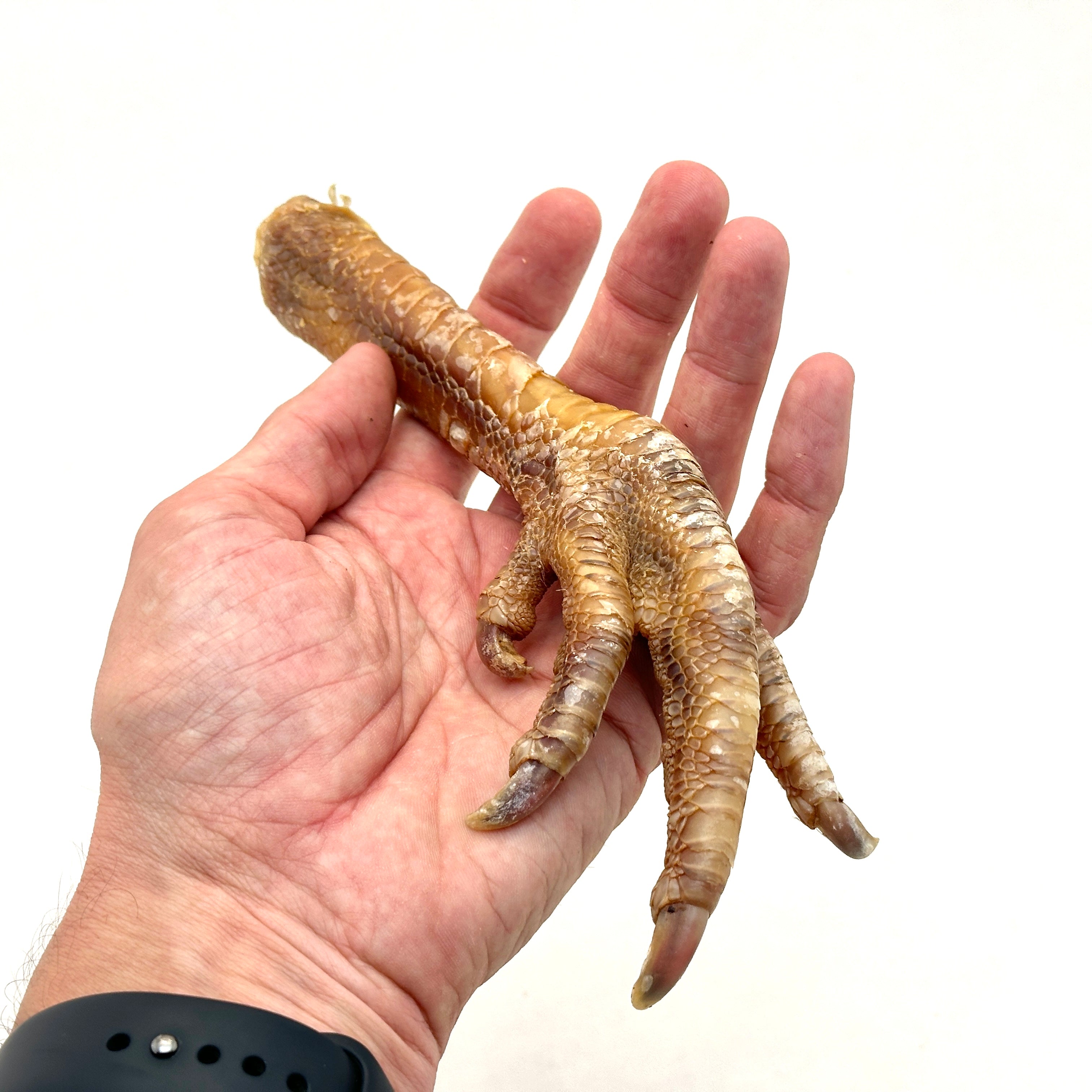 Emmzo - Svensk torkad kalkonfot