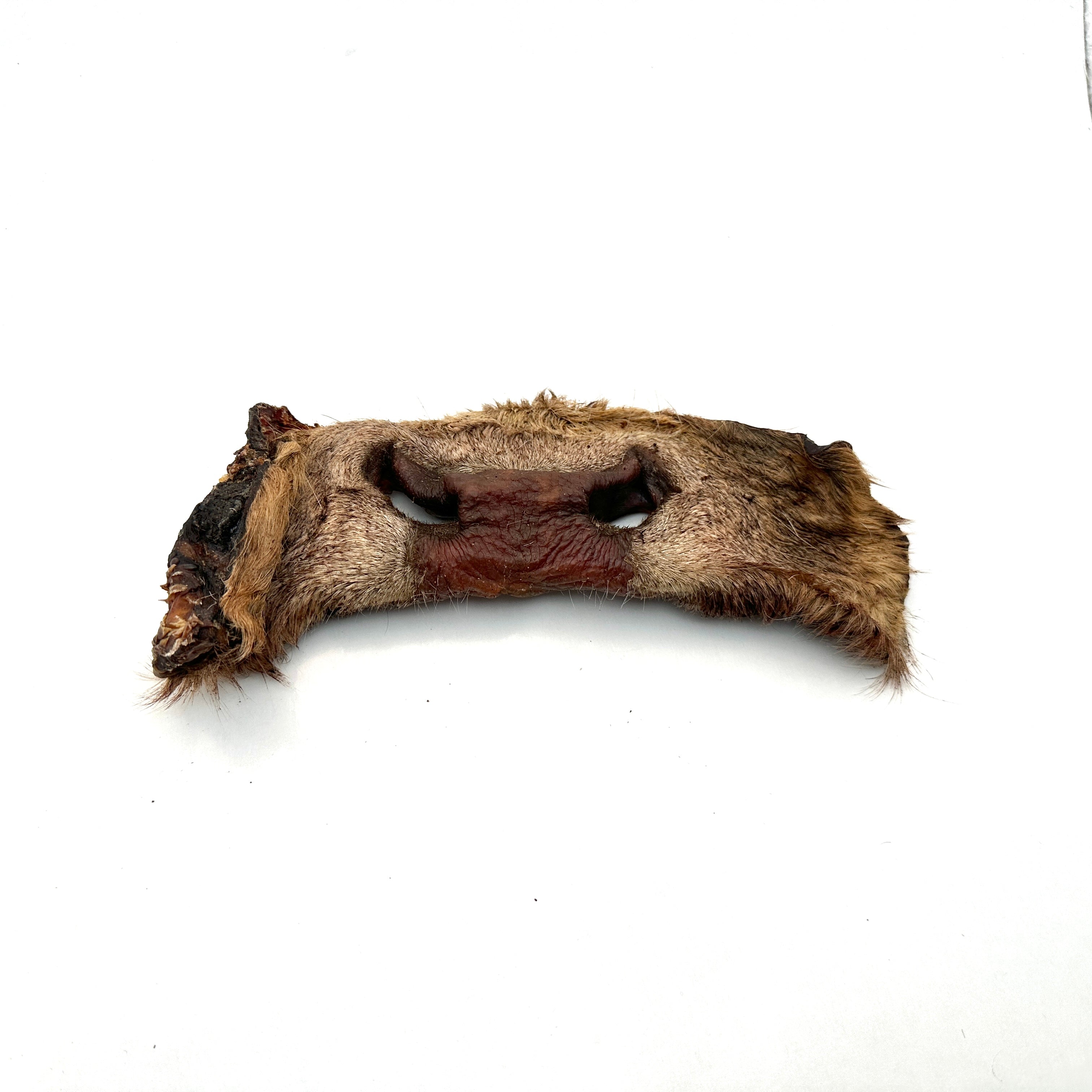 Emmzo - Svensk oxmule