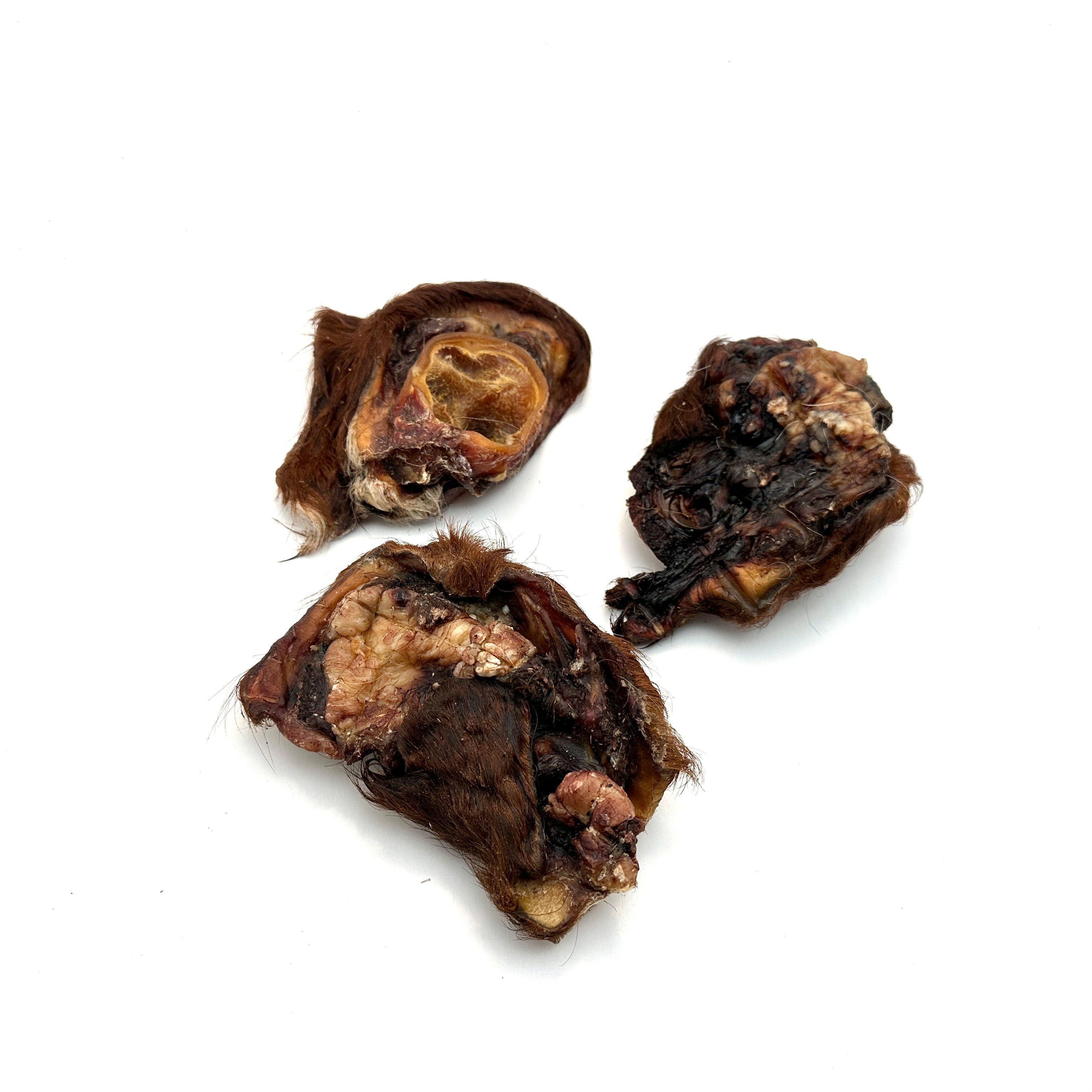 Emmzo - Svensk oxöronsnäcka med päls