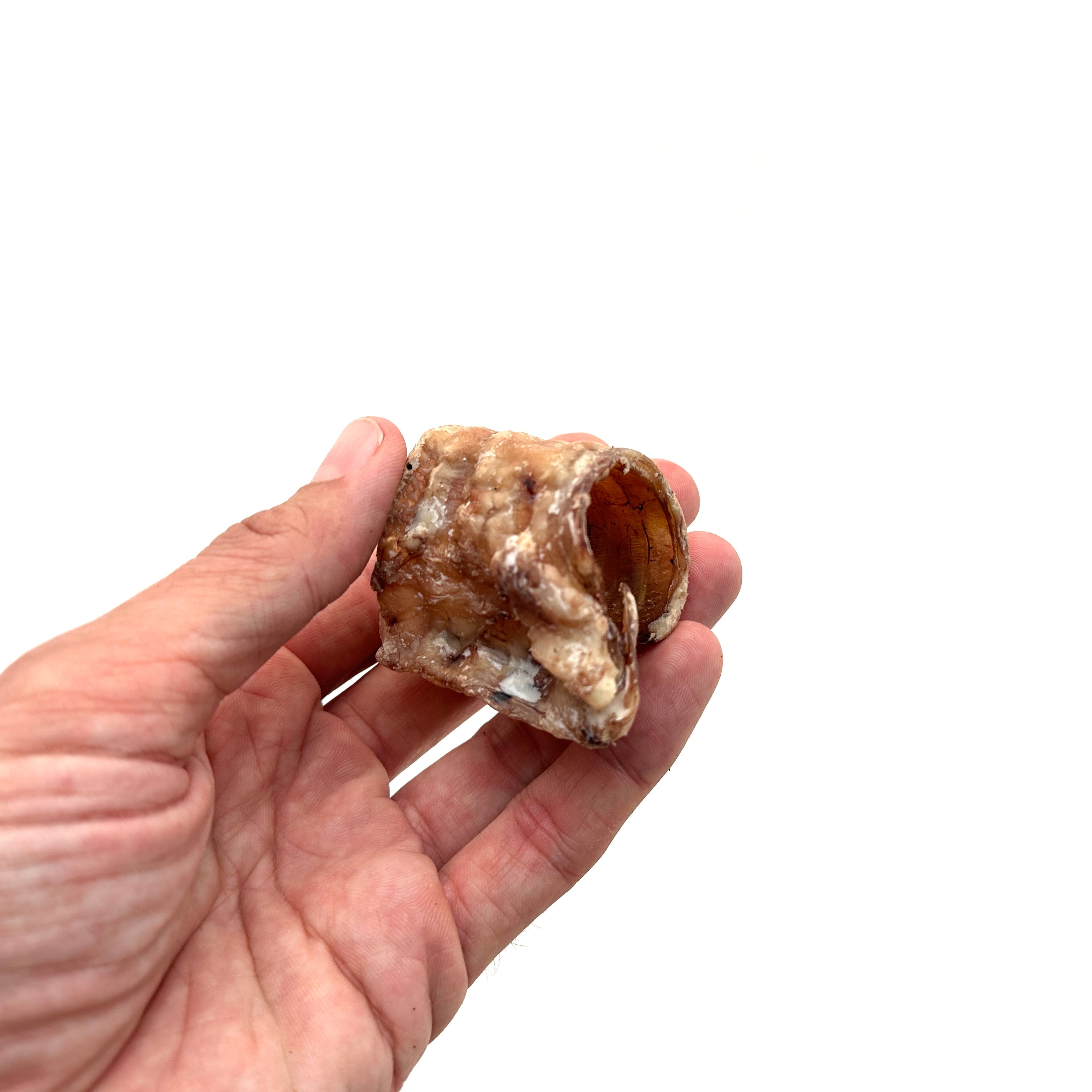 Emmzo - Svensk oxstrupe i bitar (150g)