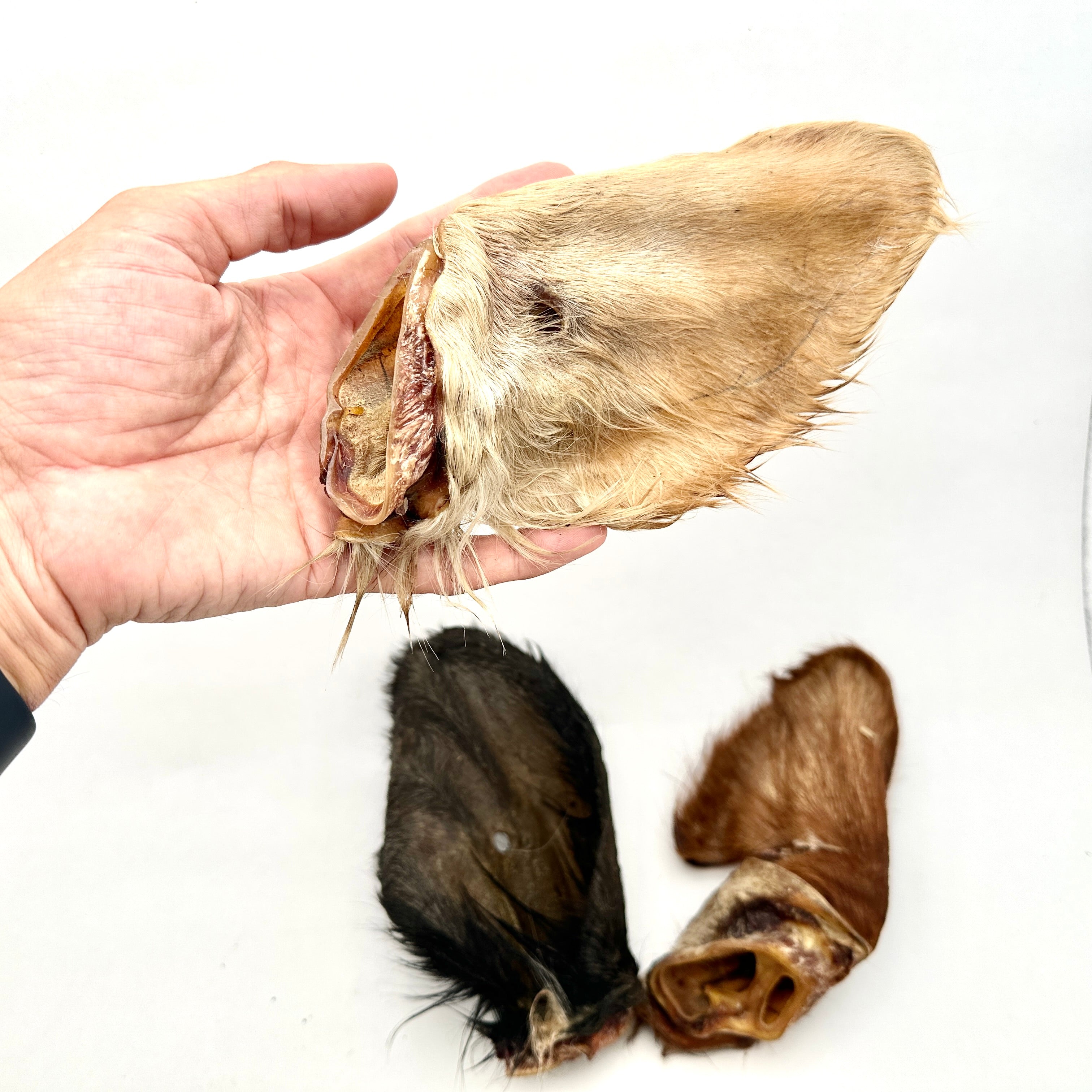 Emmzo - Svenskt oxöra med päls