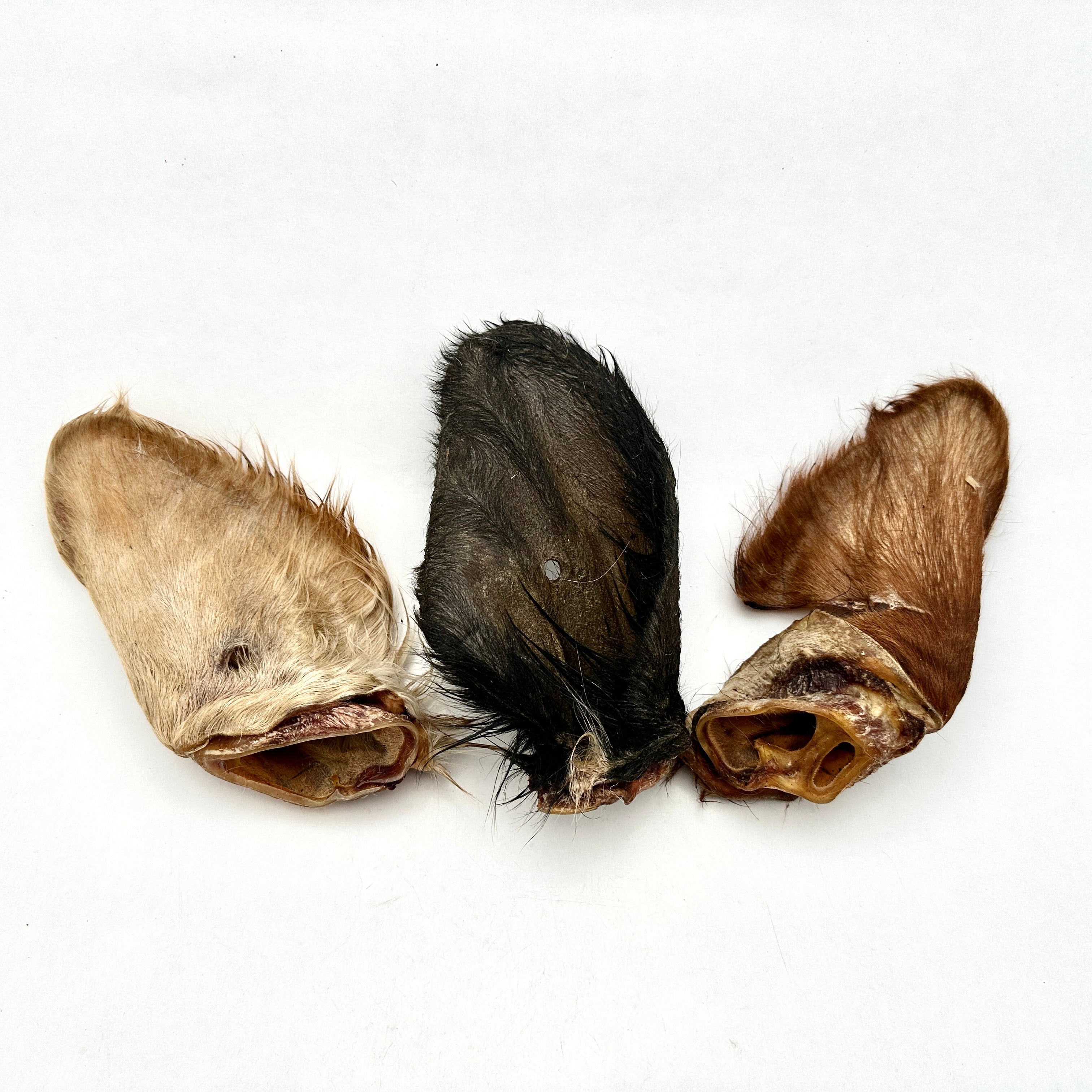 Emmzo - Svenskt oxöra med päls