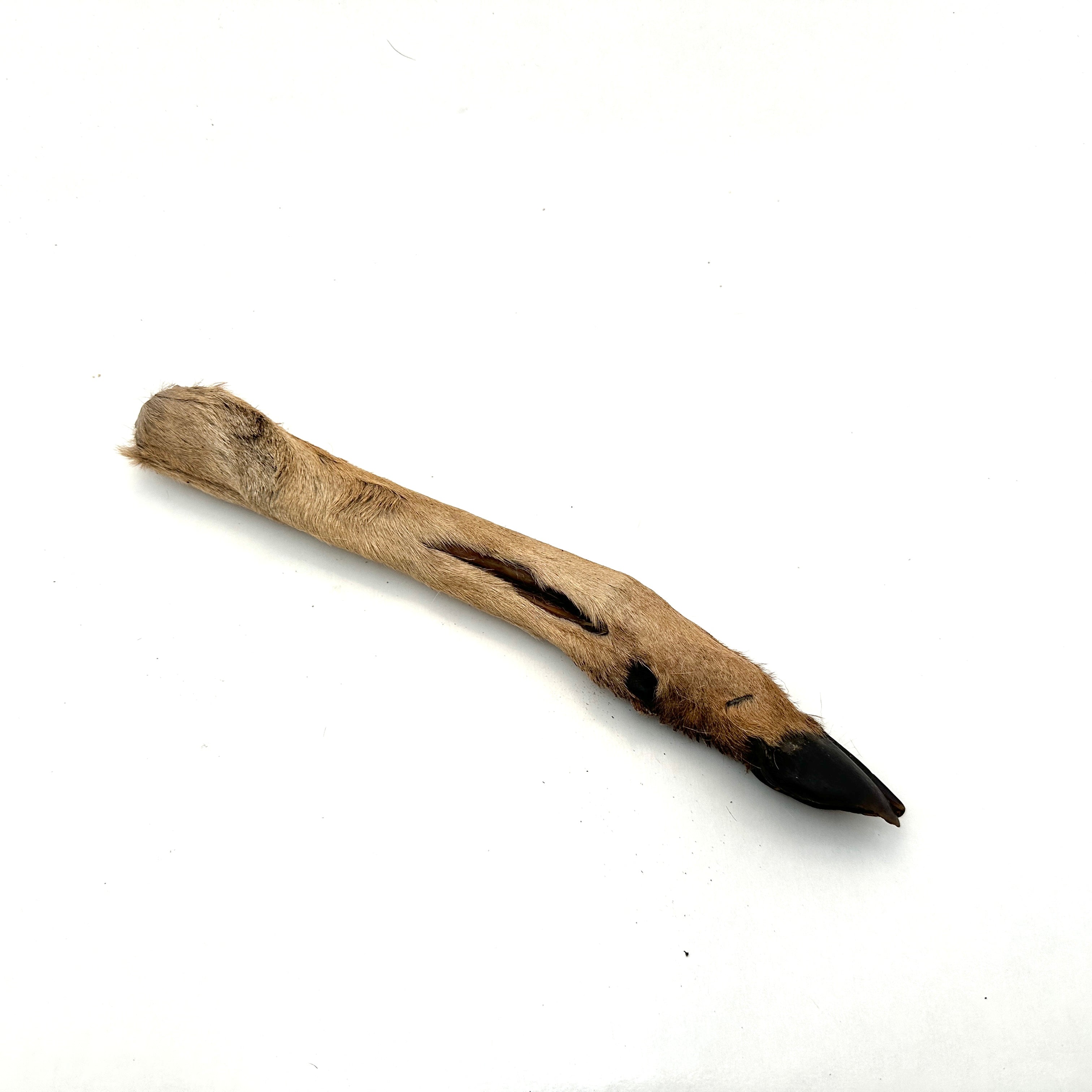 Emmzo - Svenskt viltben med päls och klöve (Cirka 20-35cm)