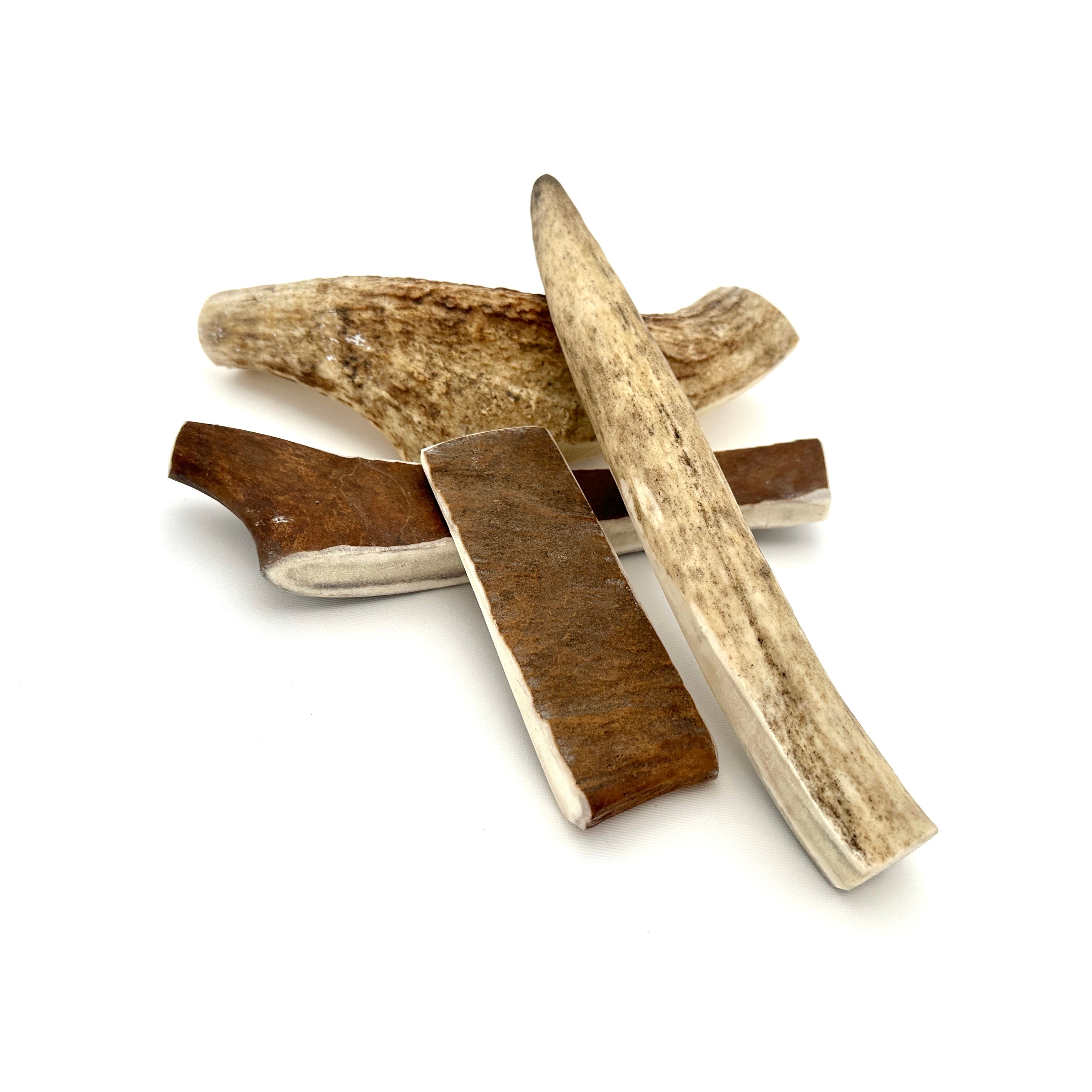 Kerotugg  - Svenska älghorn