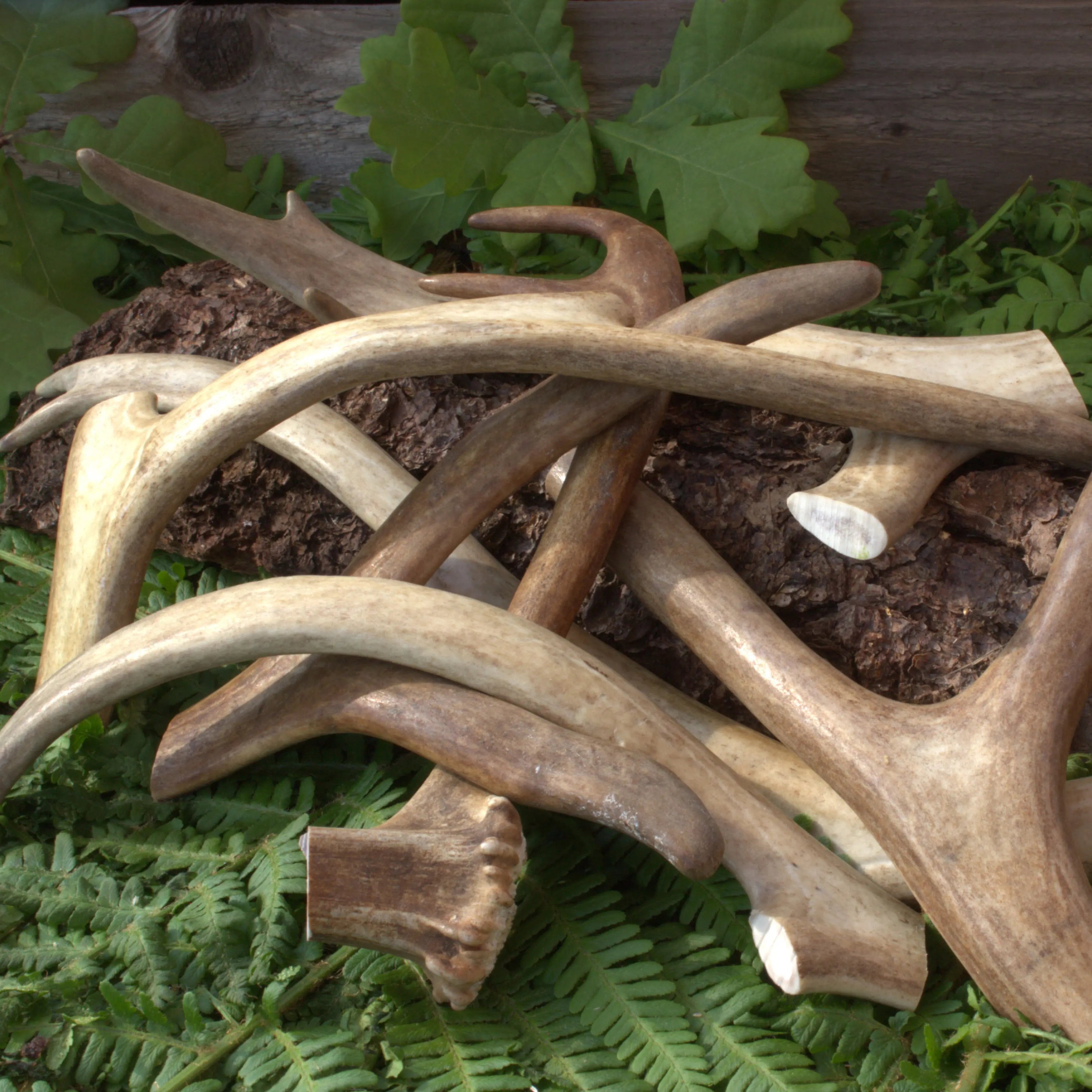 Kerotugg - Svenska renhorn (30-250g)