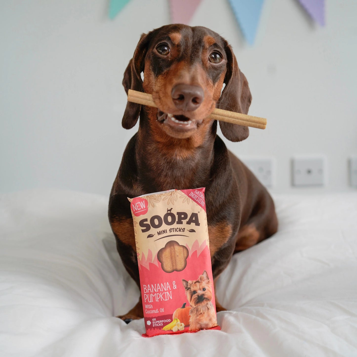 Soopa - Tuggpinnar MINI | Banan och Pumpa (8-pack)