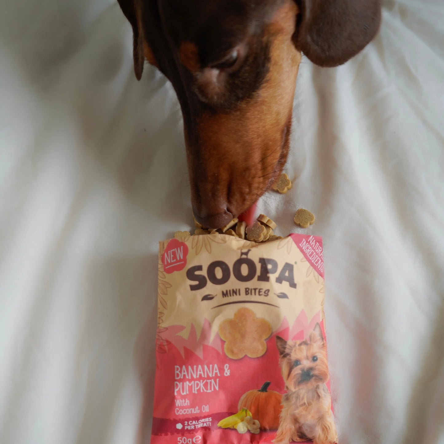 Soopa - Hundgodis MINI | Banan och pumpa (50g, 100 bitar)