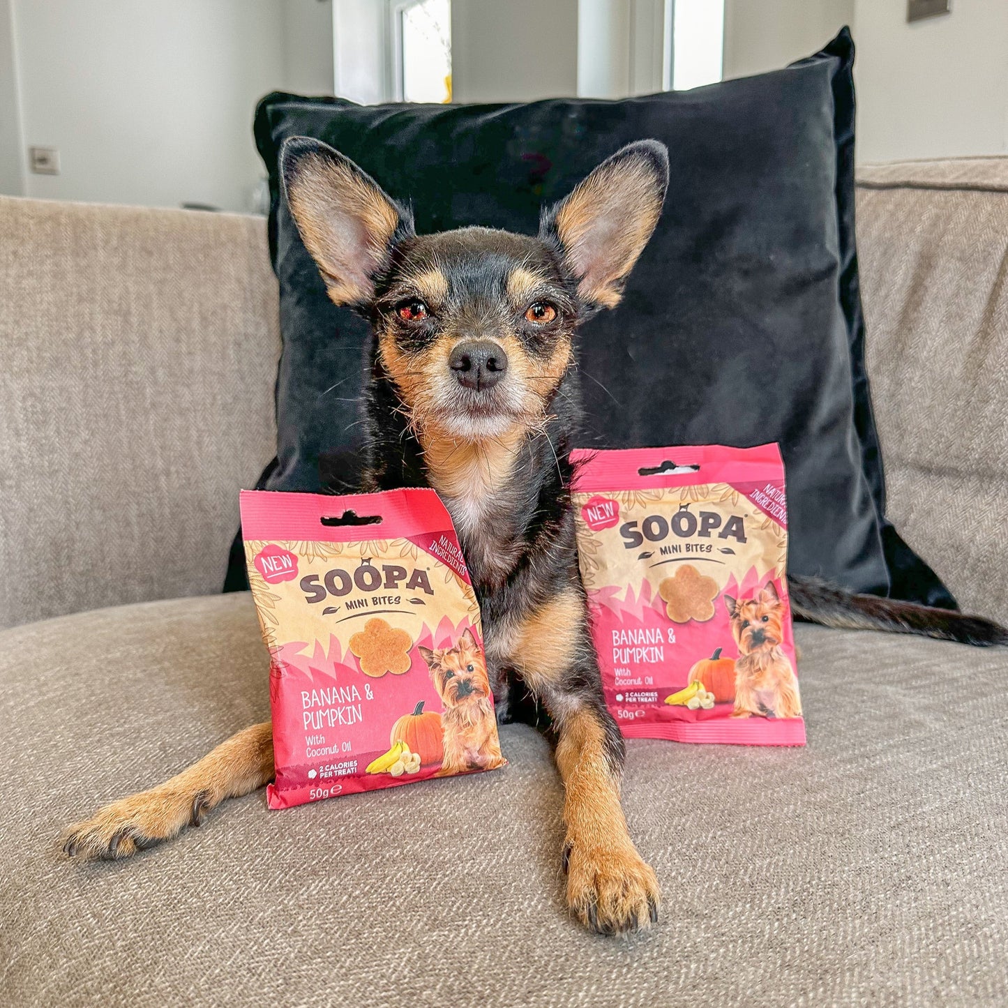 Soopa - Hundgodis MINI | Banan och pumpa (50g, 100 bitar)
