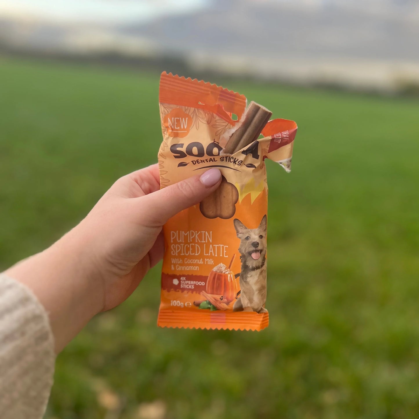 Soopa - Tuggpinnar | Pumpkin Spiced Latte - Pumpa & Kanel (4-pack)