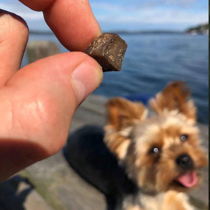 TassaFritt - Svensk oxlunga i minibitar (80g)