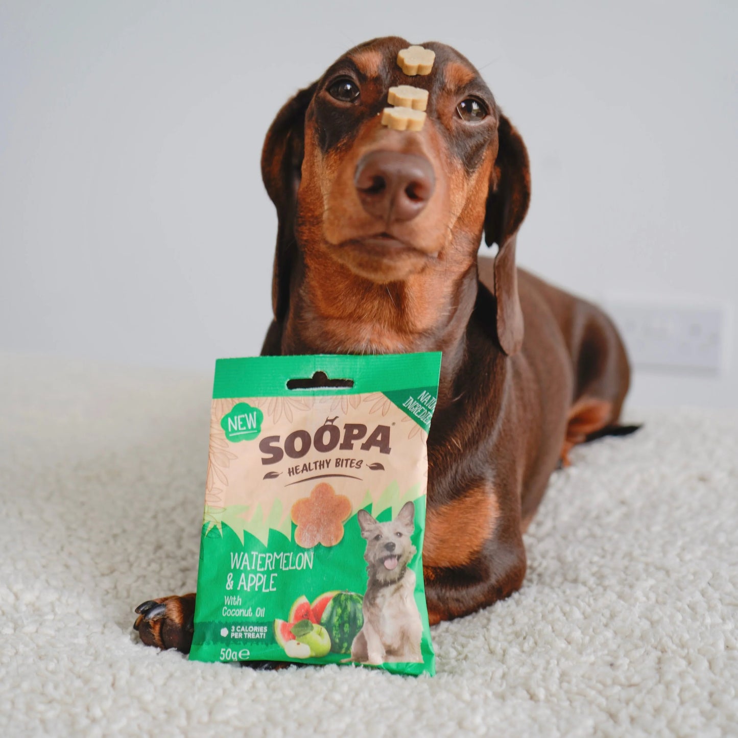 Soopa - Hundgodis | Vattenmelon och äpple (50g, 50 bitar)