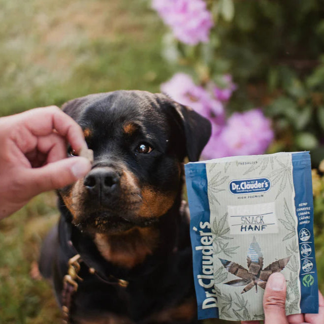 Dr. Clauder´s - Småbitar av hampa (80g)