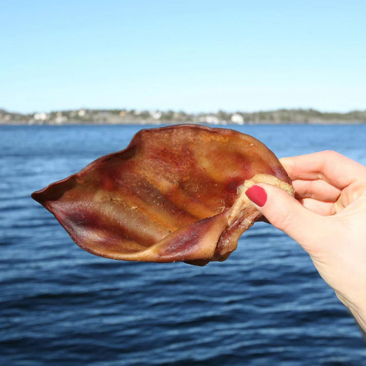 TassaFritt - Svenskt grisöra (1st eller 10st)