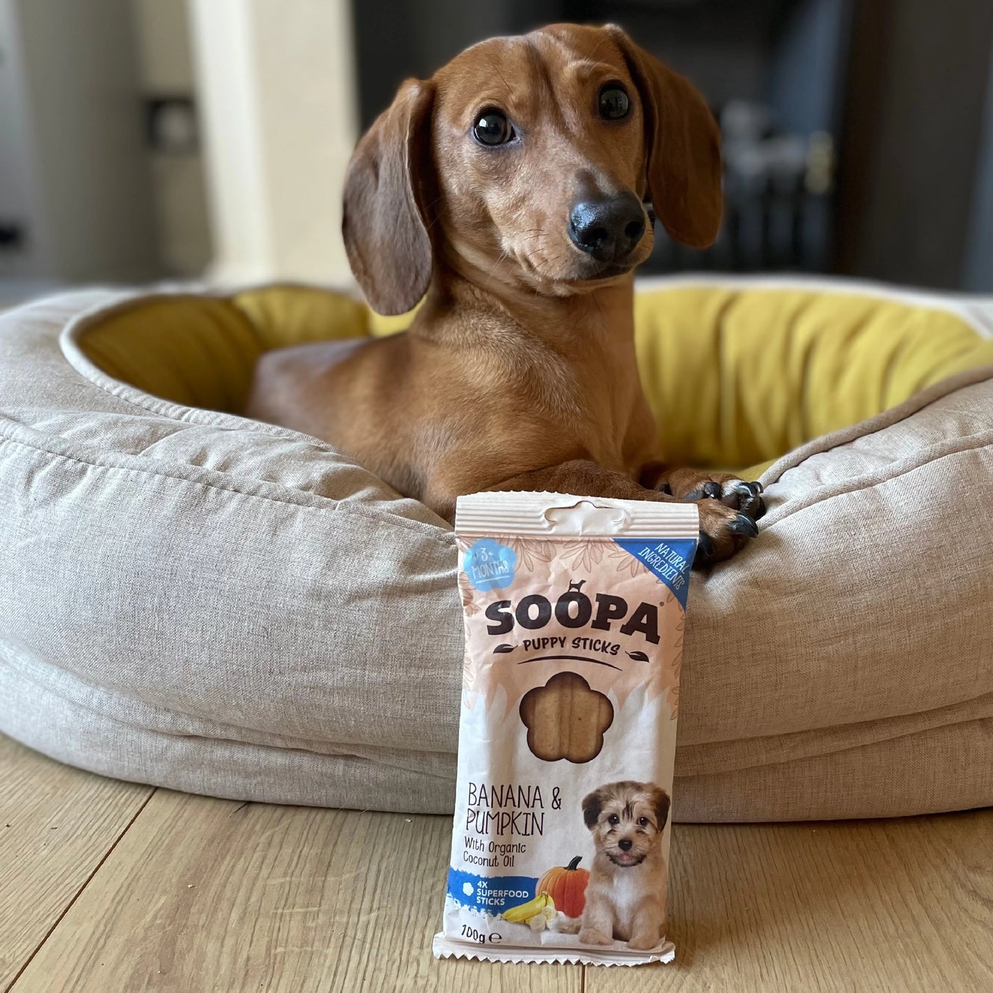 Soopa - Tuggpinnar PUPPY | Banan och Pumpa (4-pack)