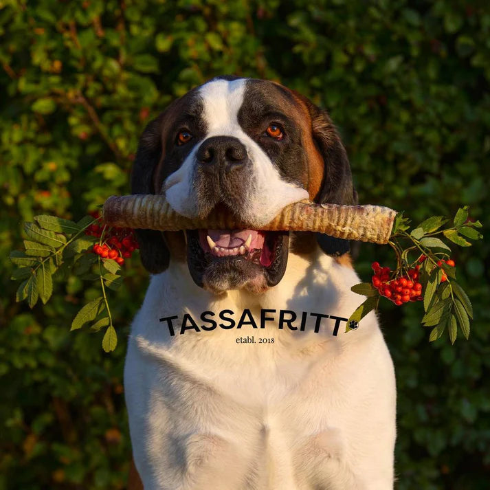 TassaFritt - Svensk oxstrupe hel 40cm (7st i påse)