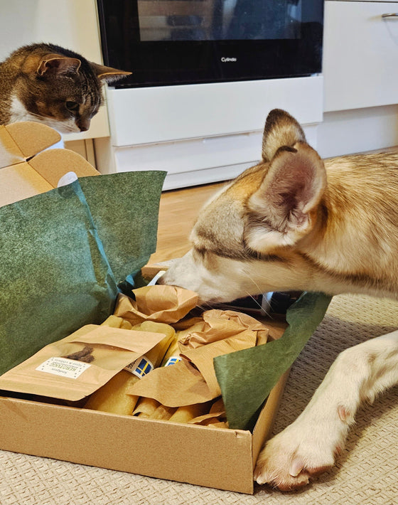 <strong>Testat & godkänt</strong>