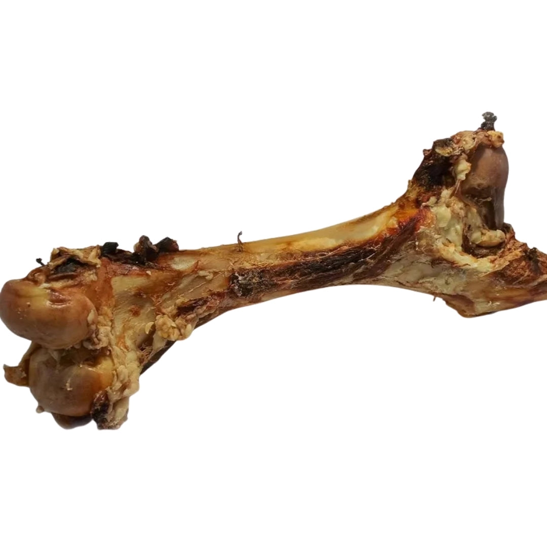 Emmzo - Svenskt oxben Gigant (40-60cm)