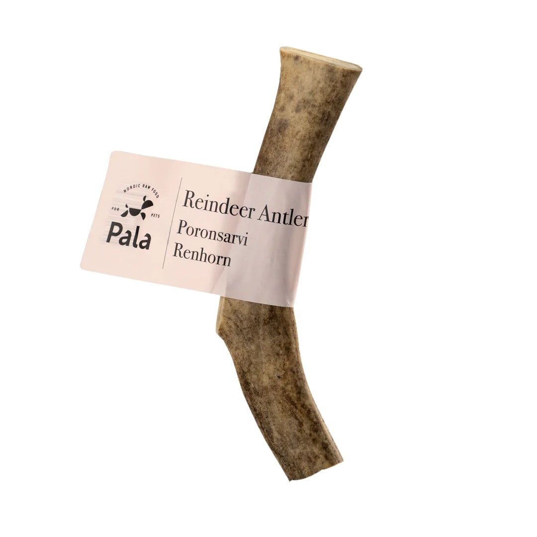 Pala - Renhorn hundtugg