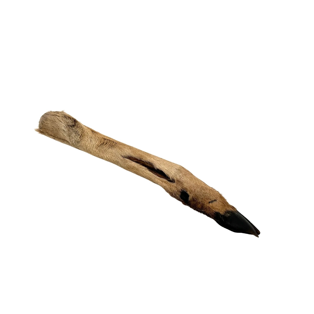 Emmzo - Svenskt viltben med päls och klöve (Cirka 20-35cm)