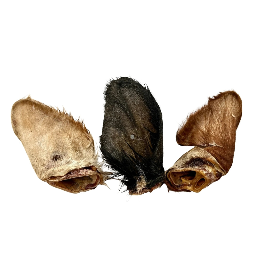 Emmzo - Svenskt oxöra med päls