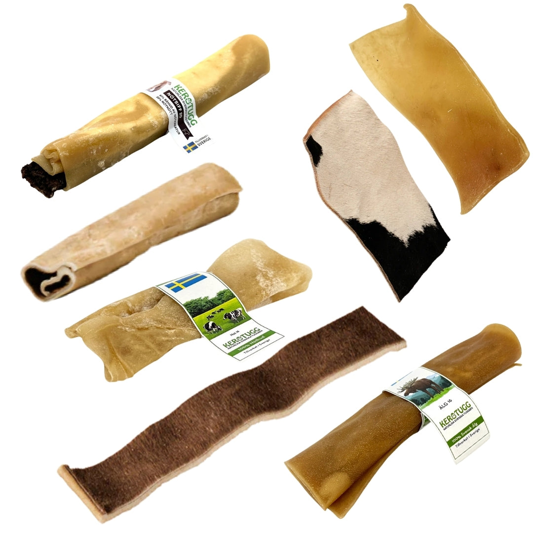 Svenska tugg-klassiker (Mellanstor ca 13-25kg)