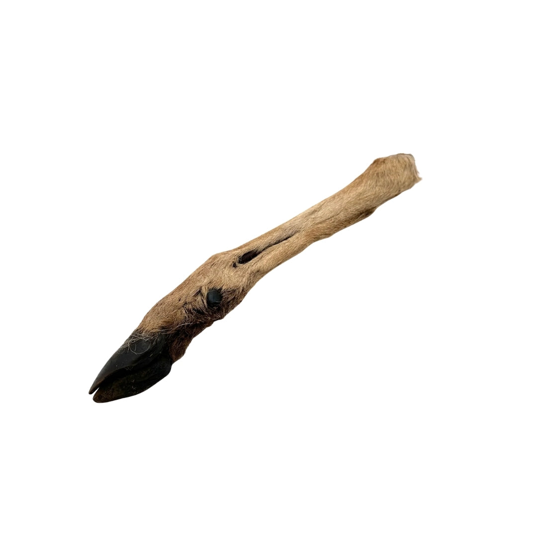 Emmzo - Svenskt viltben med päls och klöve (Cirka 20-35cm)