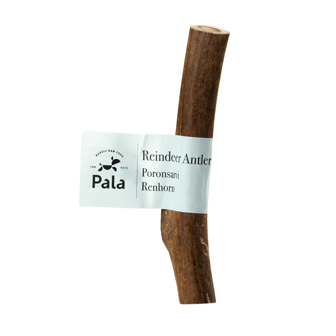Pala - Renhorn hundtugg