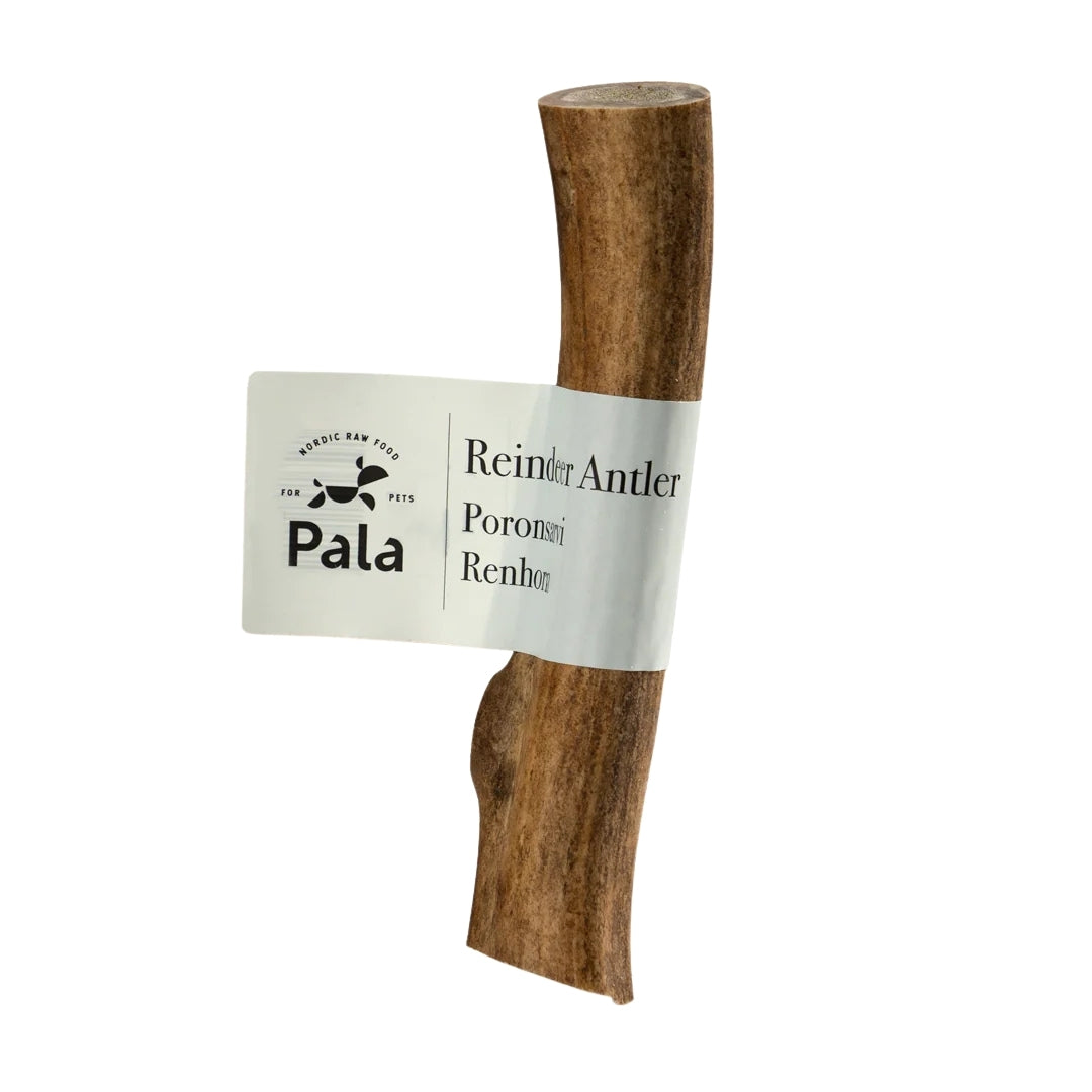 Pala - Renhorn hundtugg