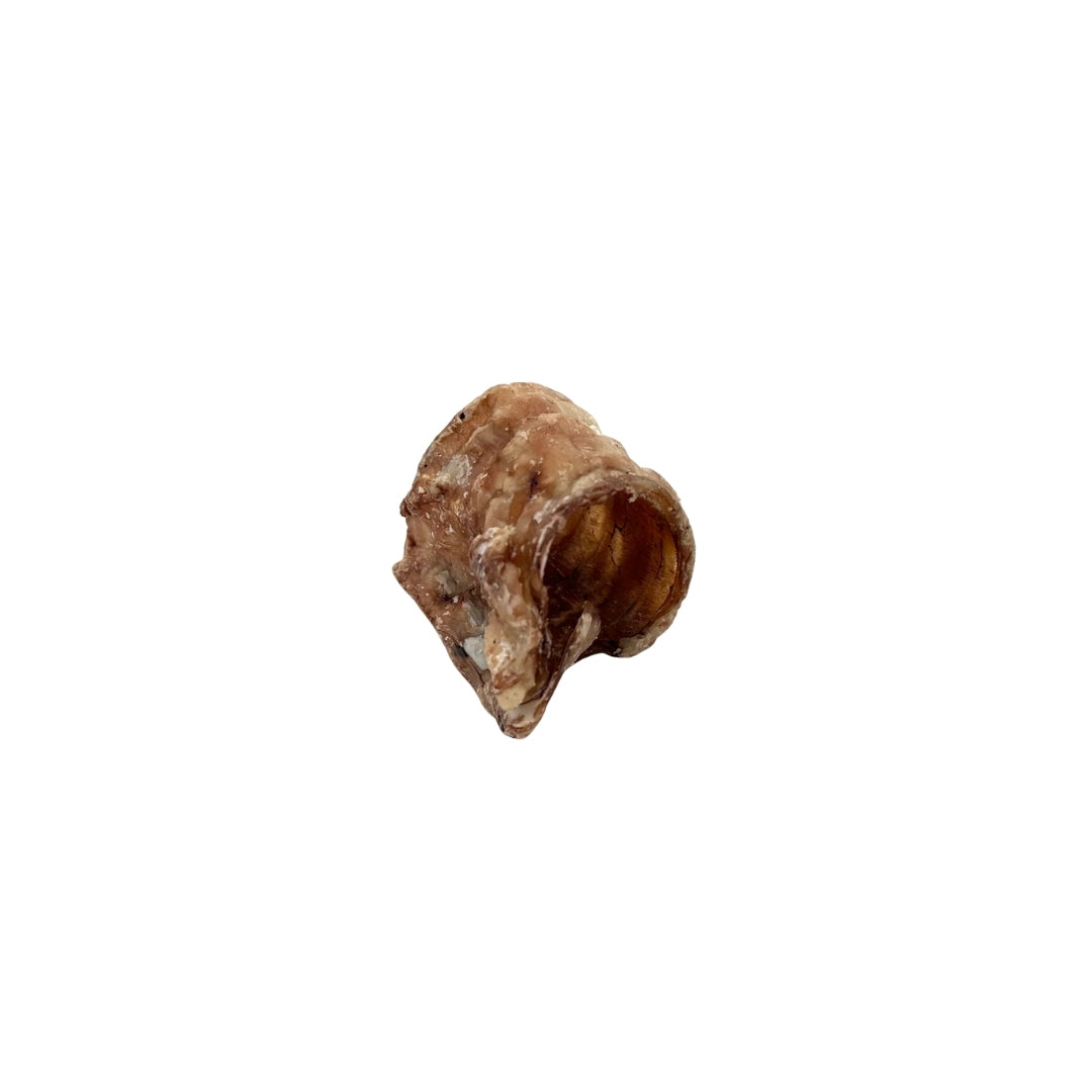 Emmzo - Svensk oxstrupe i bitar (150g)