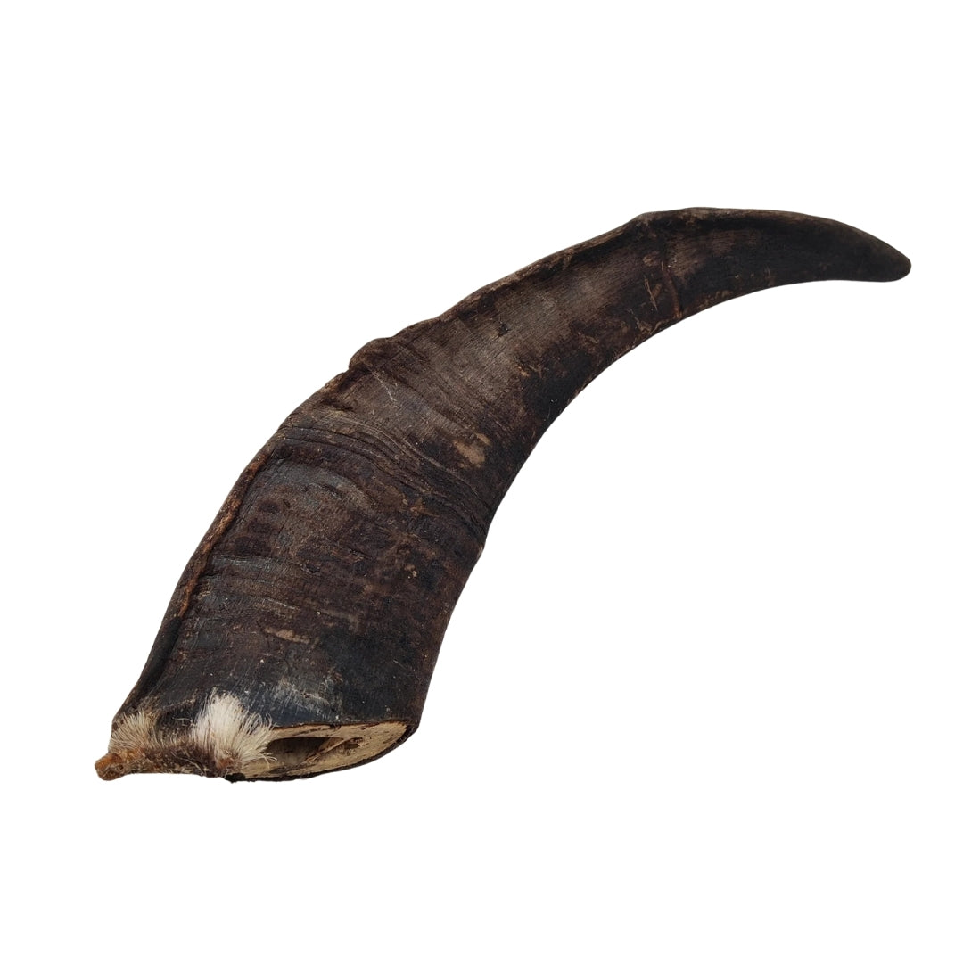 Emmzo - Svenskt gethorn