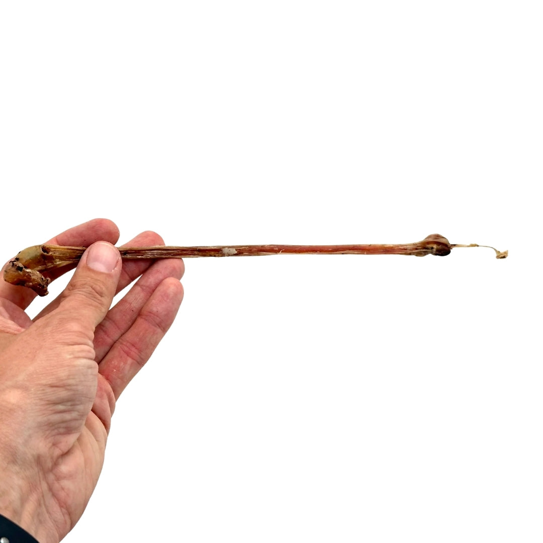 Emmzo - Svensk lammuskel