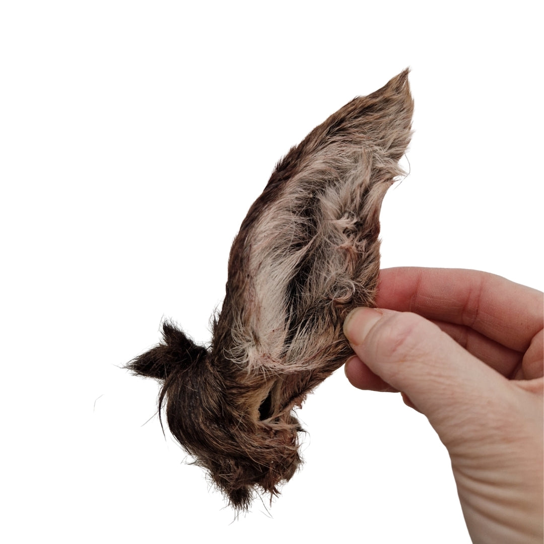 Emmzo - Svenskt hjortöra med päls