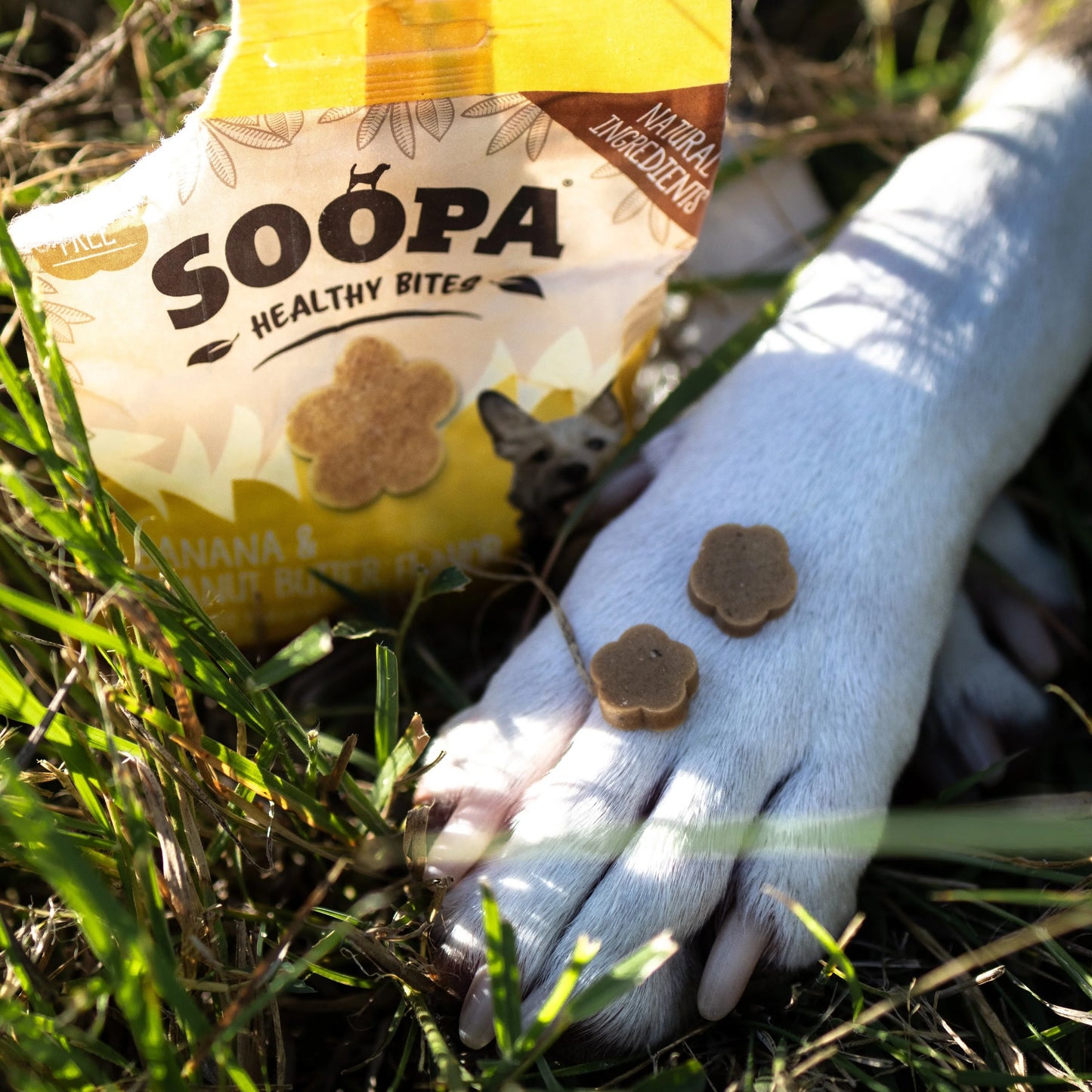 Soopa - Hundgodis | Banan och jordnötssmör (50g, 50 bitar)