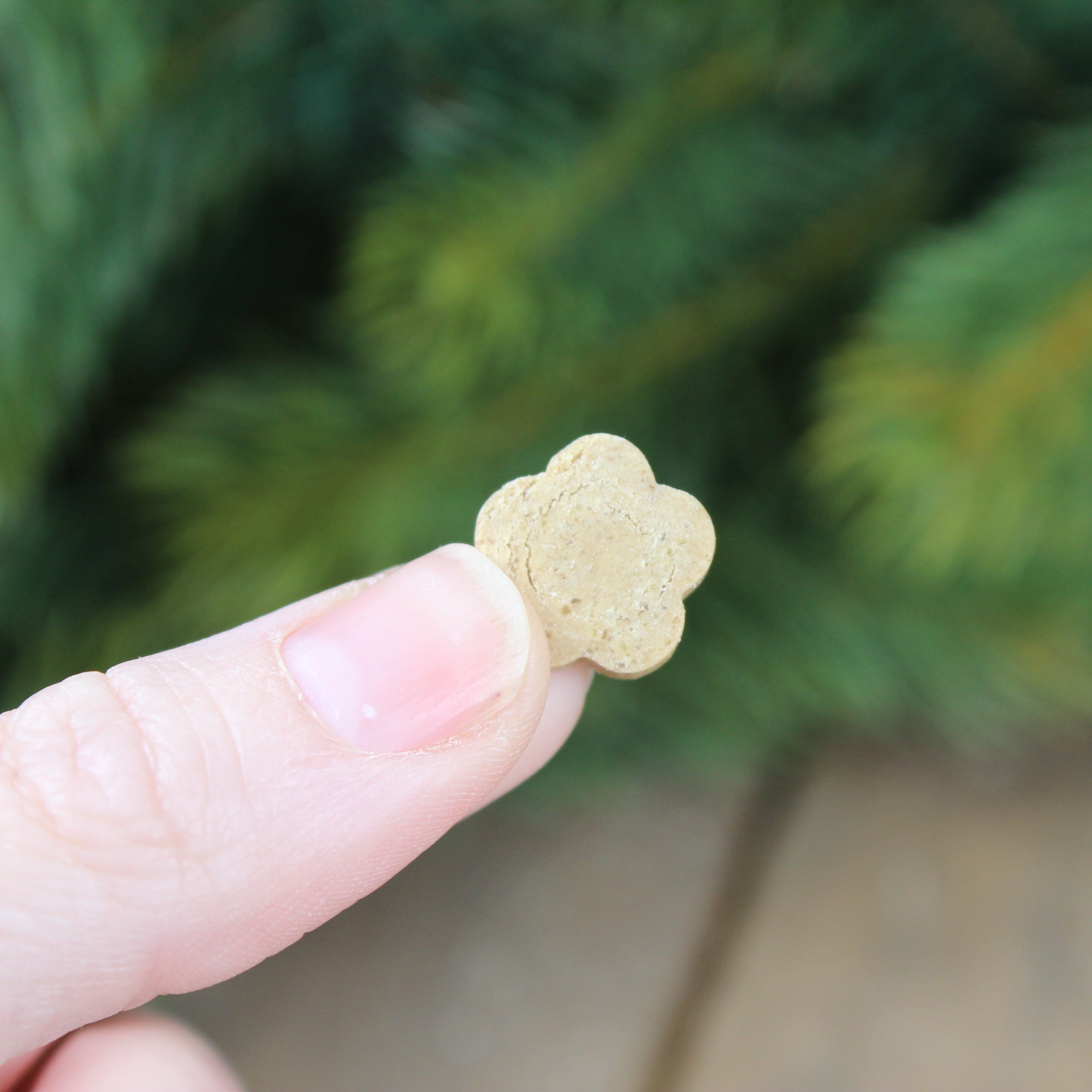 Soopa - Hundgodis PUPPY | Banan och pumpa (50g, 50 bitar)