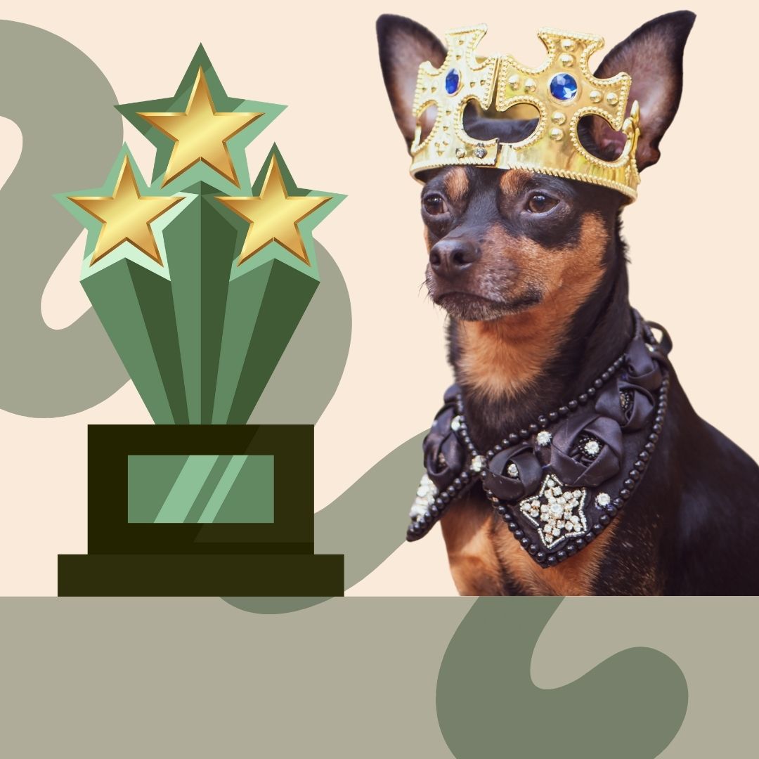 Hundben.se