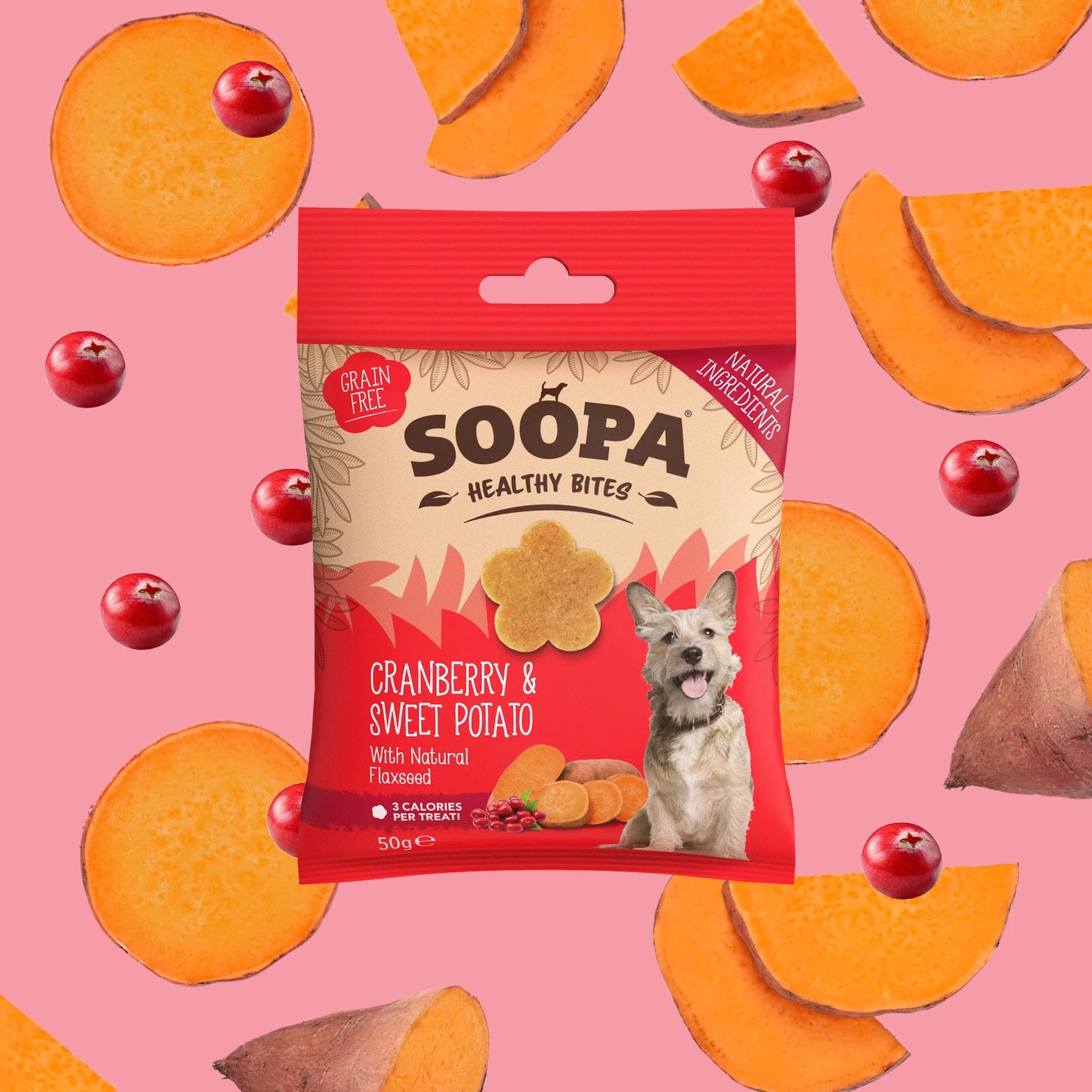 Soopa - Hundgodis | Tranbär och sötpotatis (50g, 50 bitar)