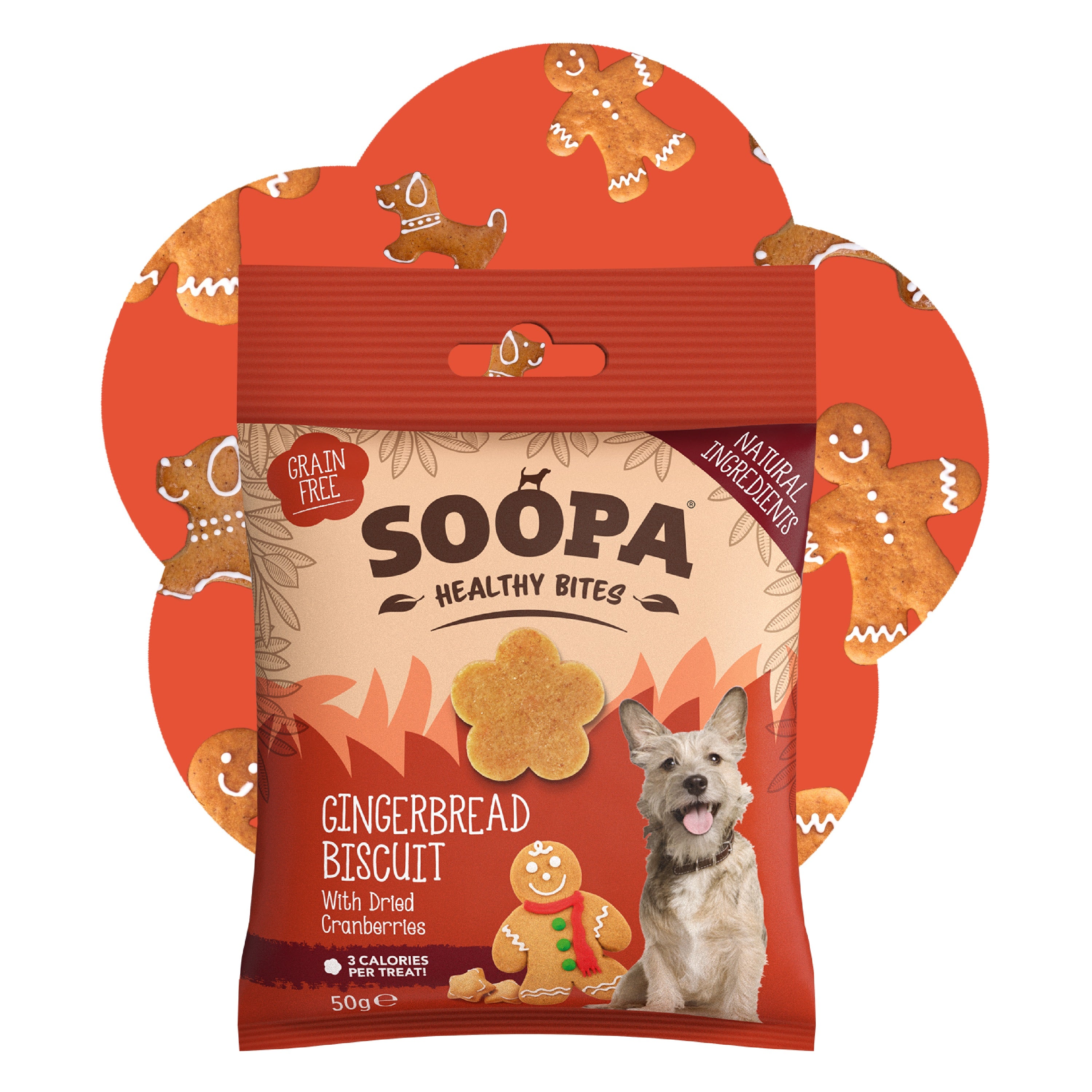 Soopa - Hundgodis | Gingerbread Biscuit, Ingerfära och tranbär (50g, 50 bitar)