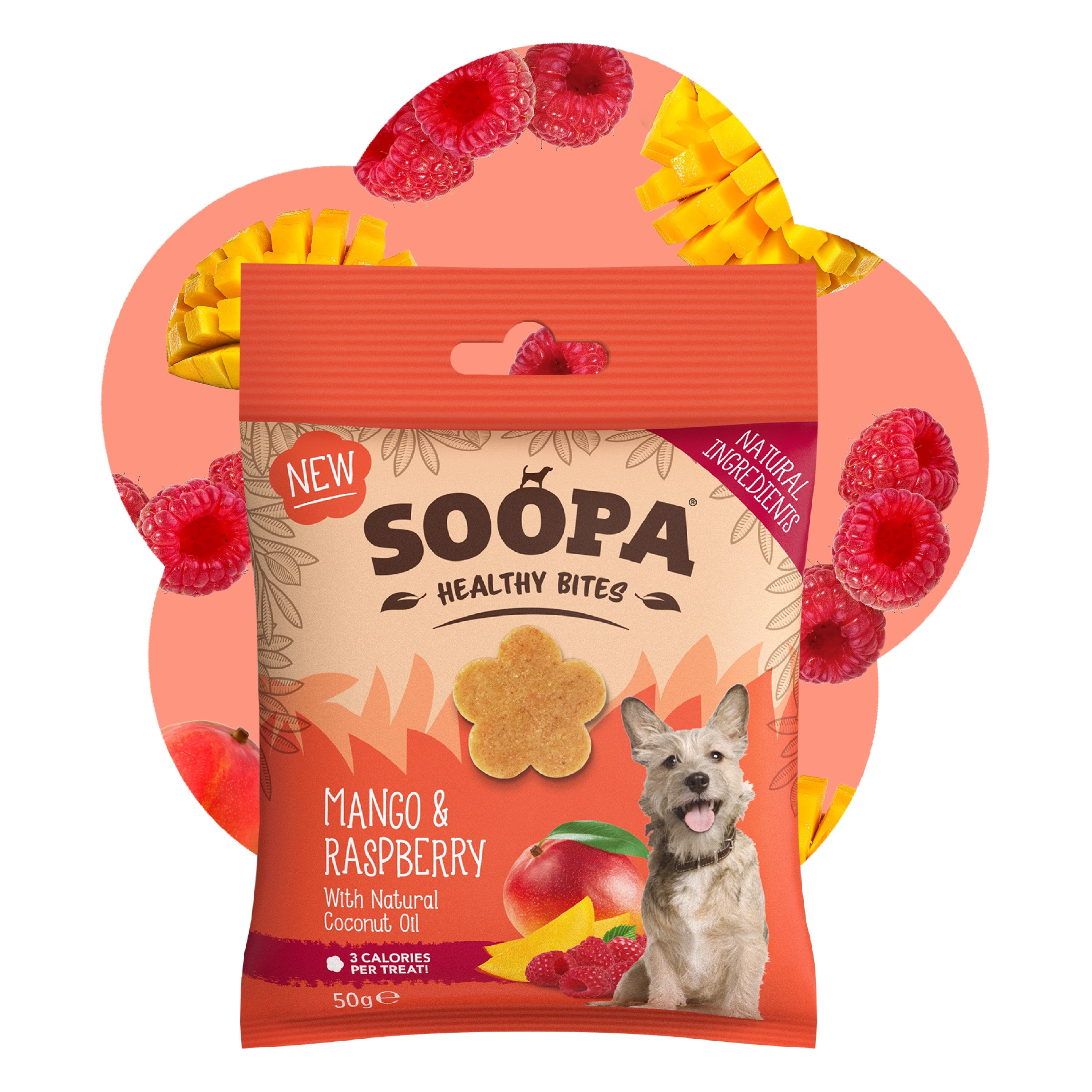 Soopa - Hundgodis | Mango & hallon (50g, 50 bitar)