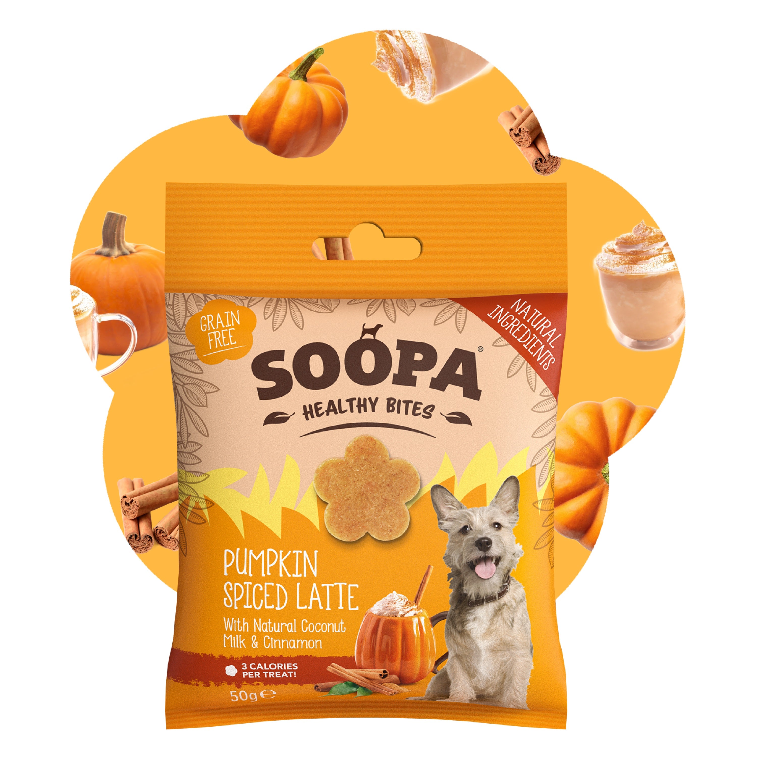 Soopa - Hundgodis | Pumpkin Spiced Latte, Pumpa och kanel (50g, 50 bitar)