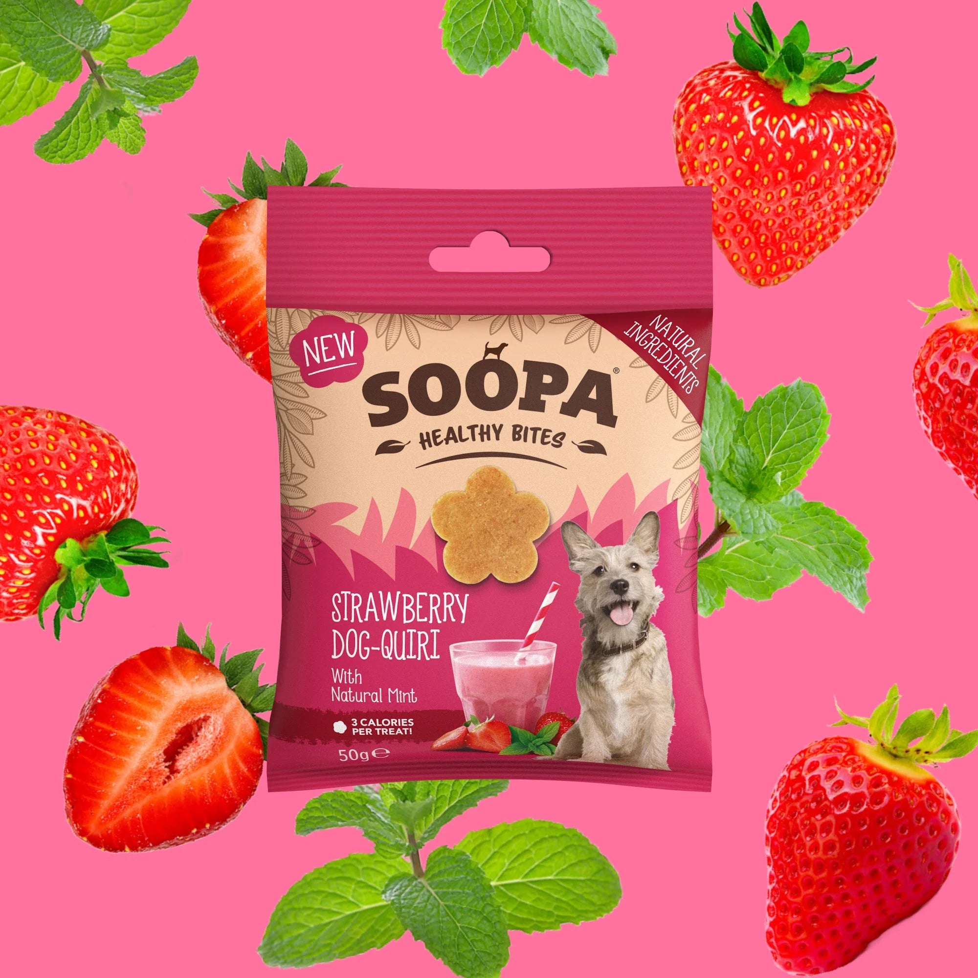Soopa - Hundgodis | Strawberry Dog-Quiri, jordgubb och kokos (50g, 50 bitar)