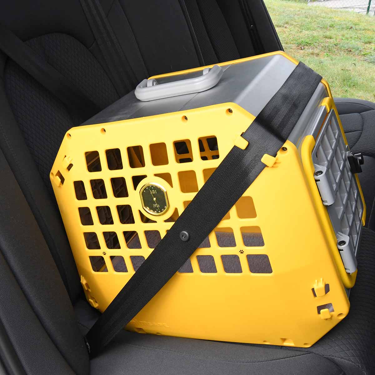 Mimsafe - Care 2 Large Gul