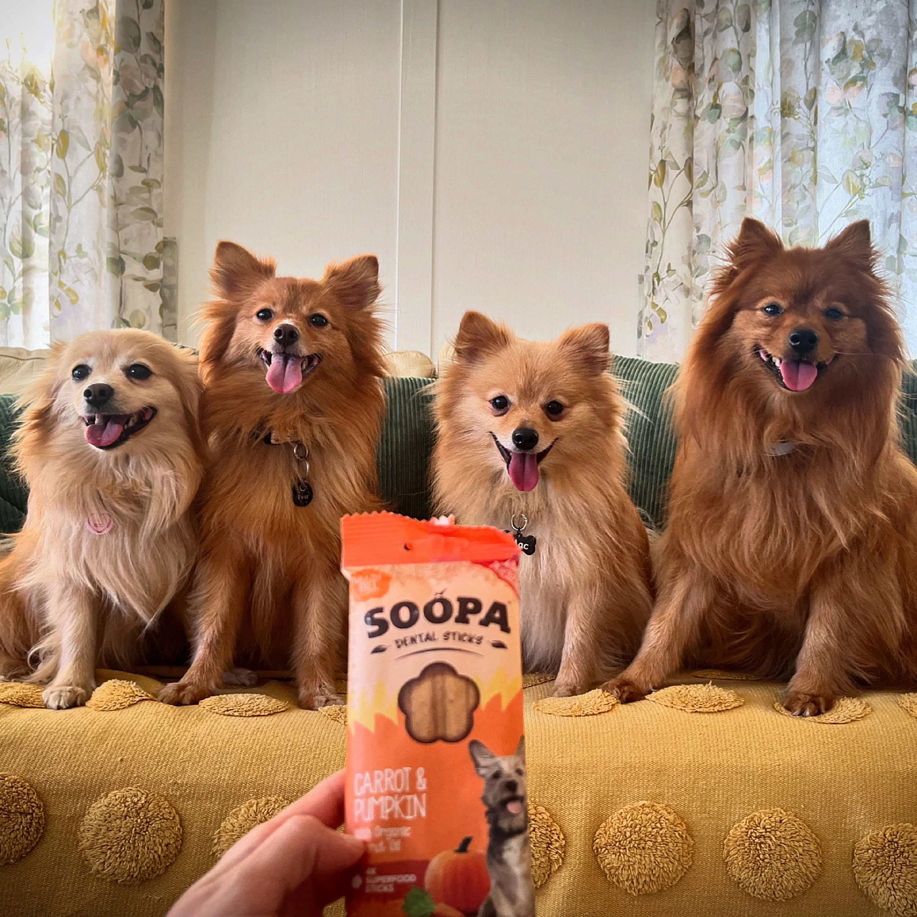 Soopa - Tuggpinnar | Morot & Pumpa (4-pack)