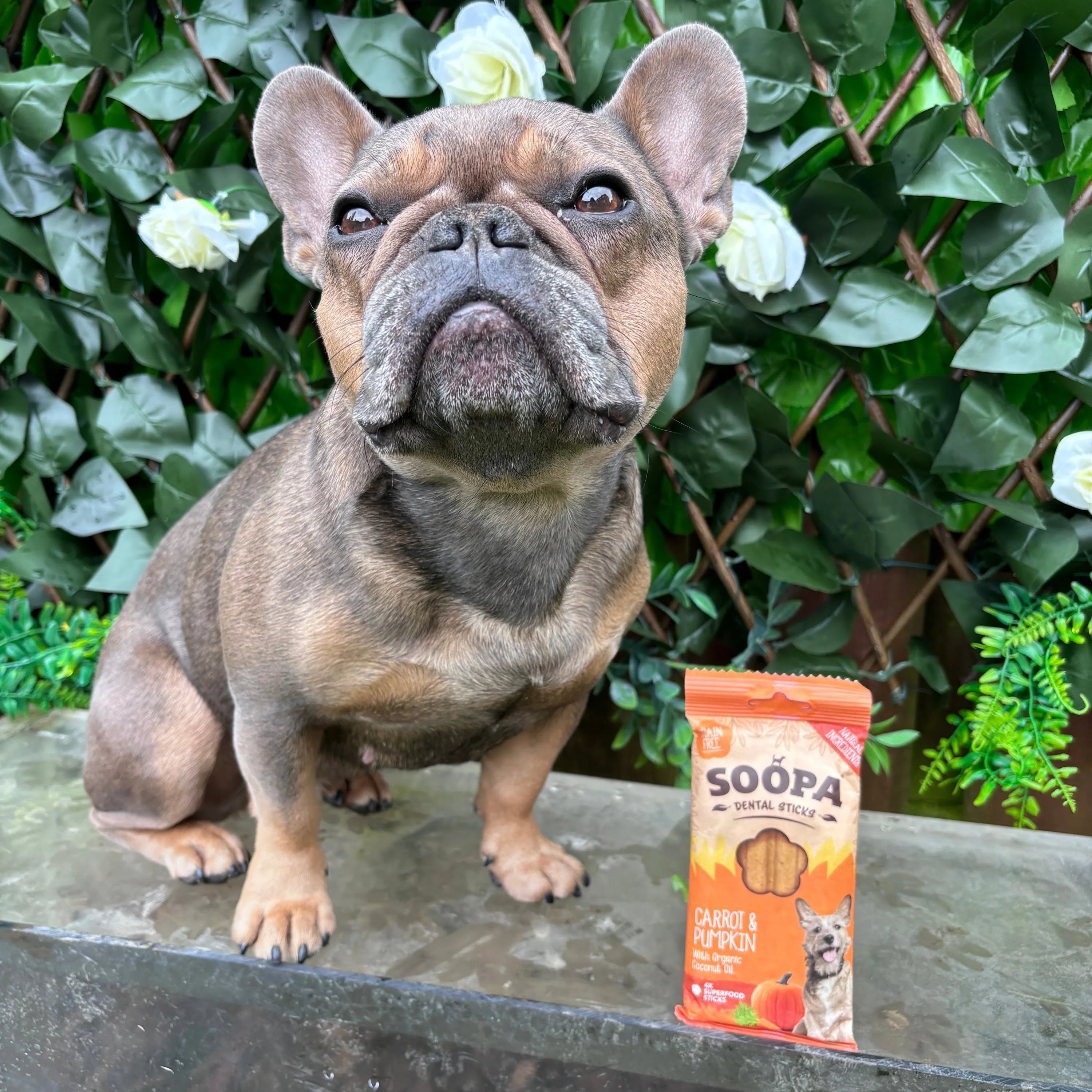 Soopa - Tuggpinnar | Morot & Pumpa (4-pack)