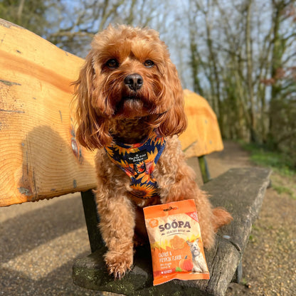 Soopa - Hundgodis | Pumpkin Spiced Latte, Pumpa och kanel (50g, 50 bitar)