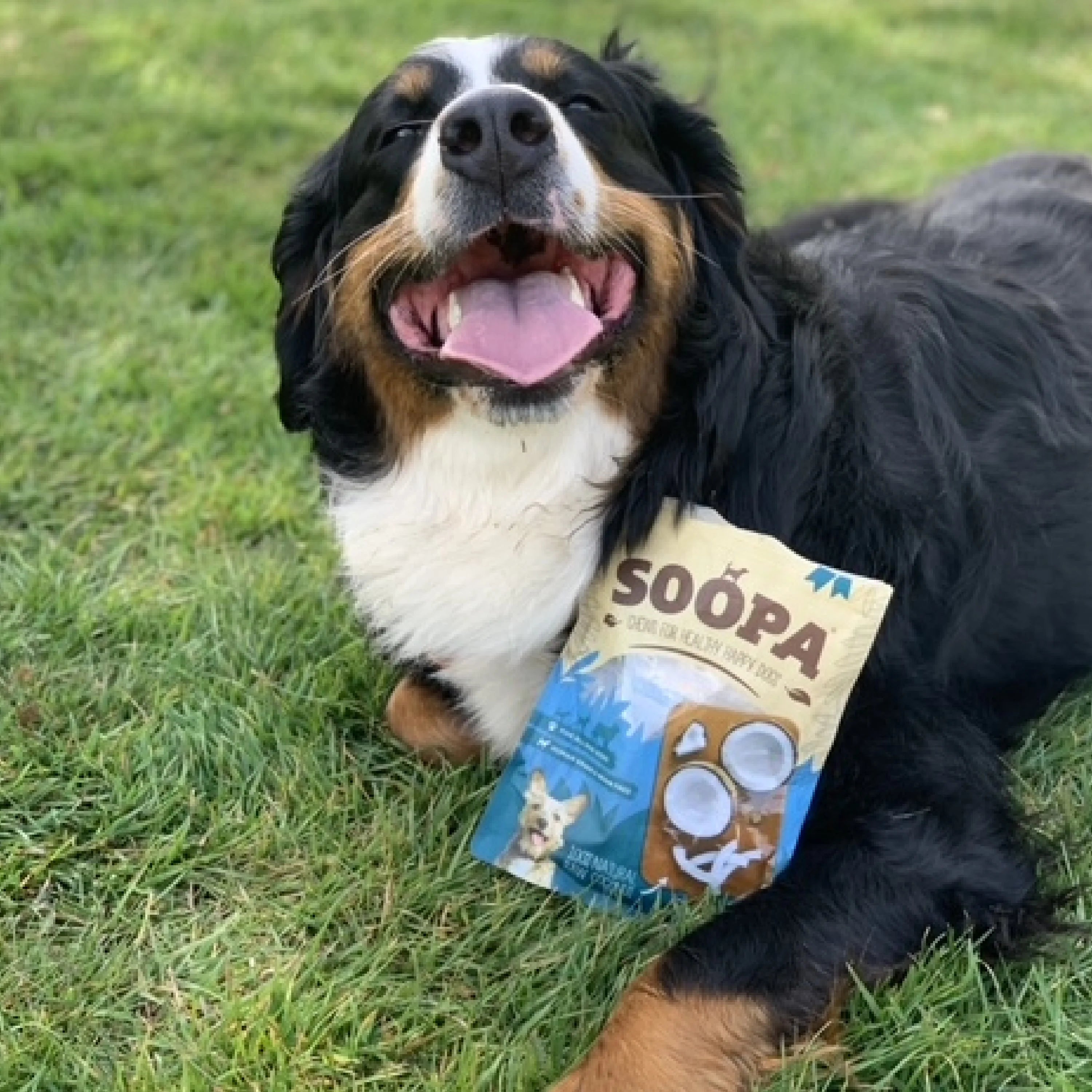 Soopa - Tugg av torkad kokos (100g)